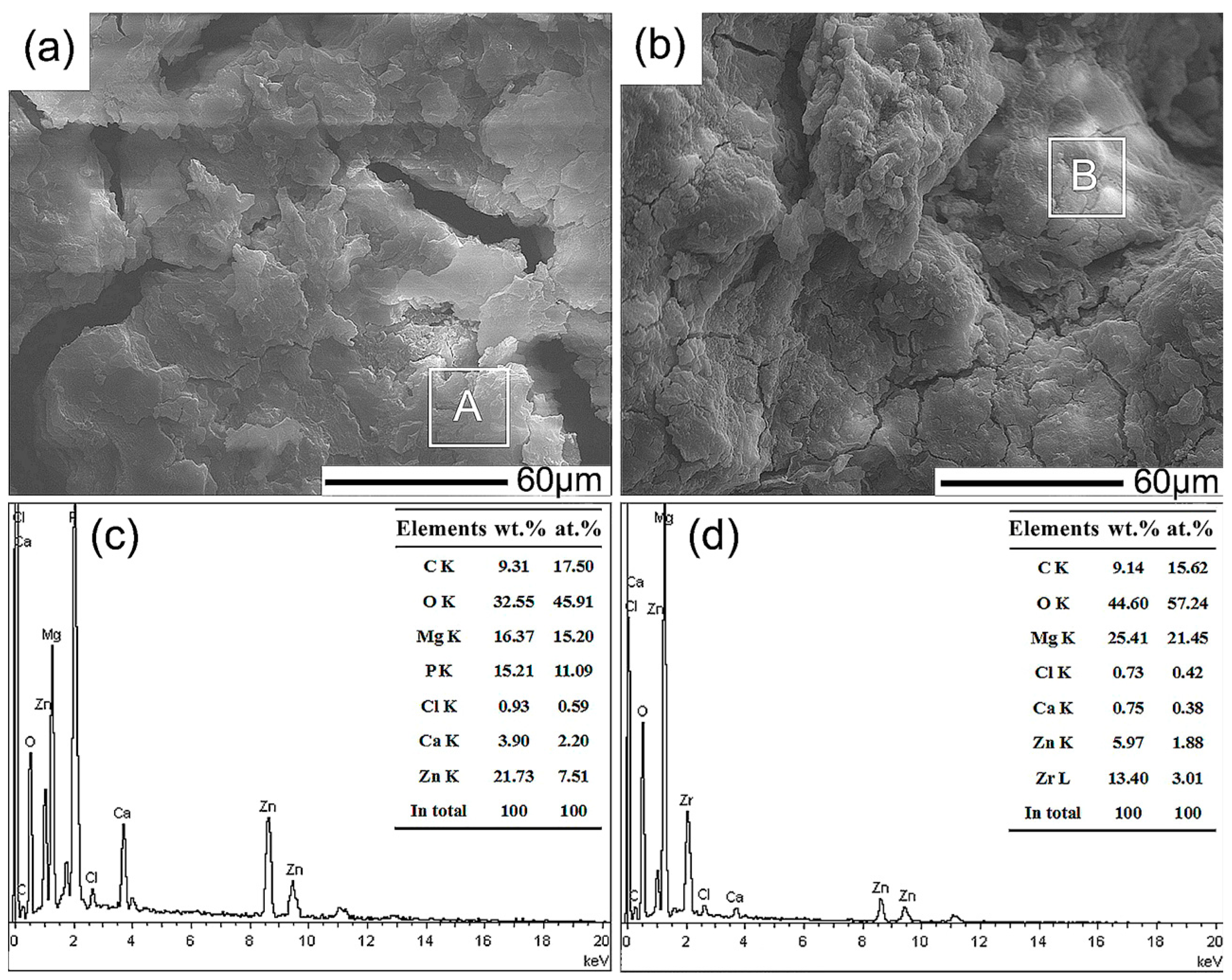 Coatings 08 00261 g007