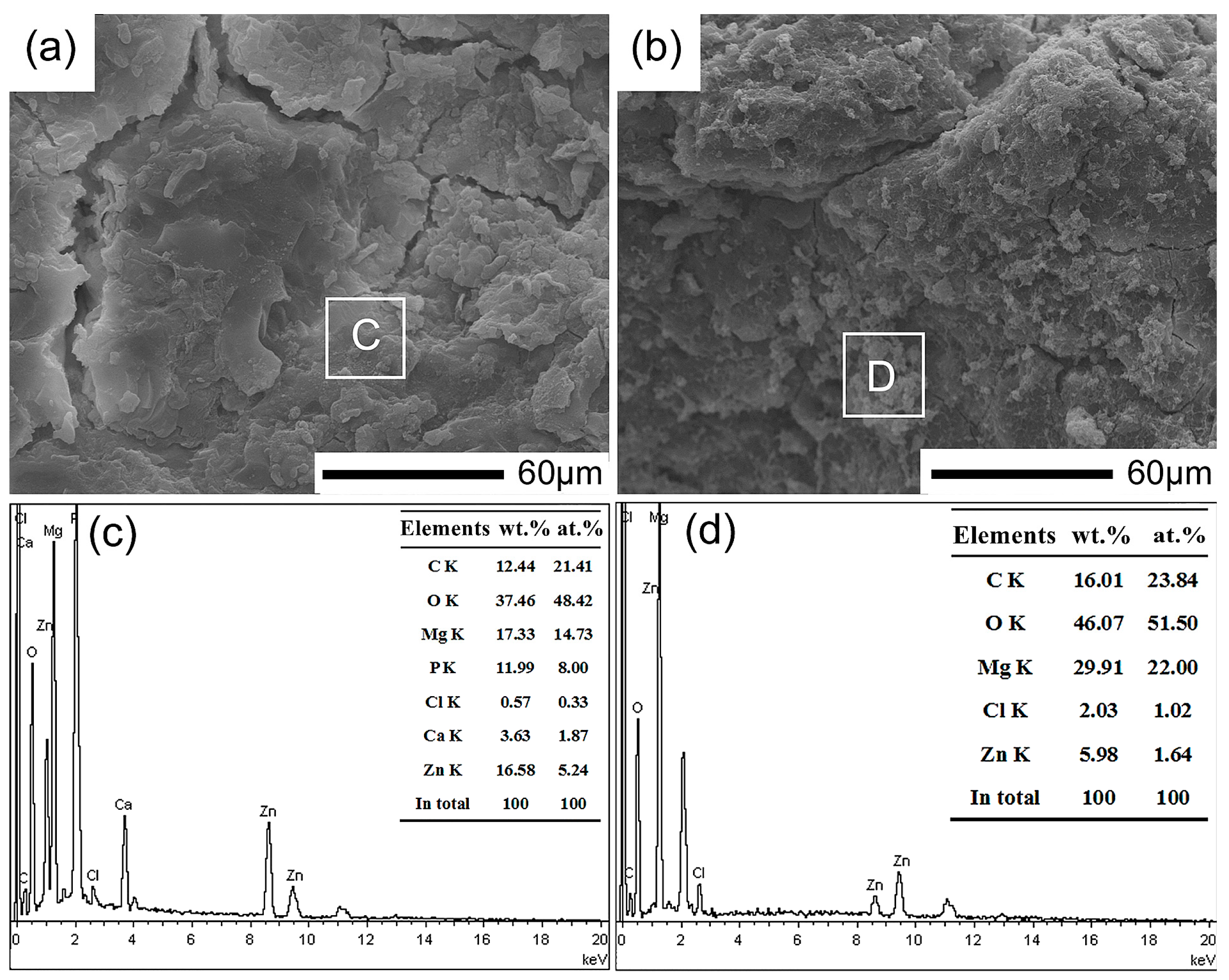 Coatings 08 00261 g008