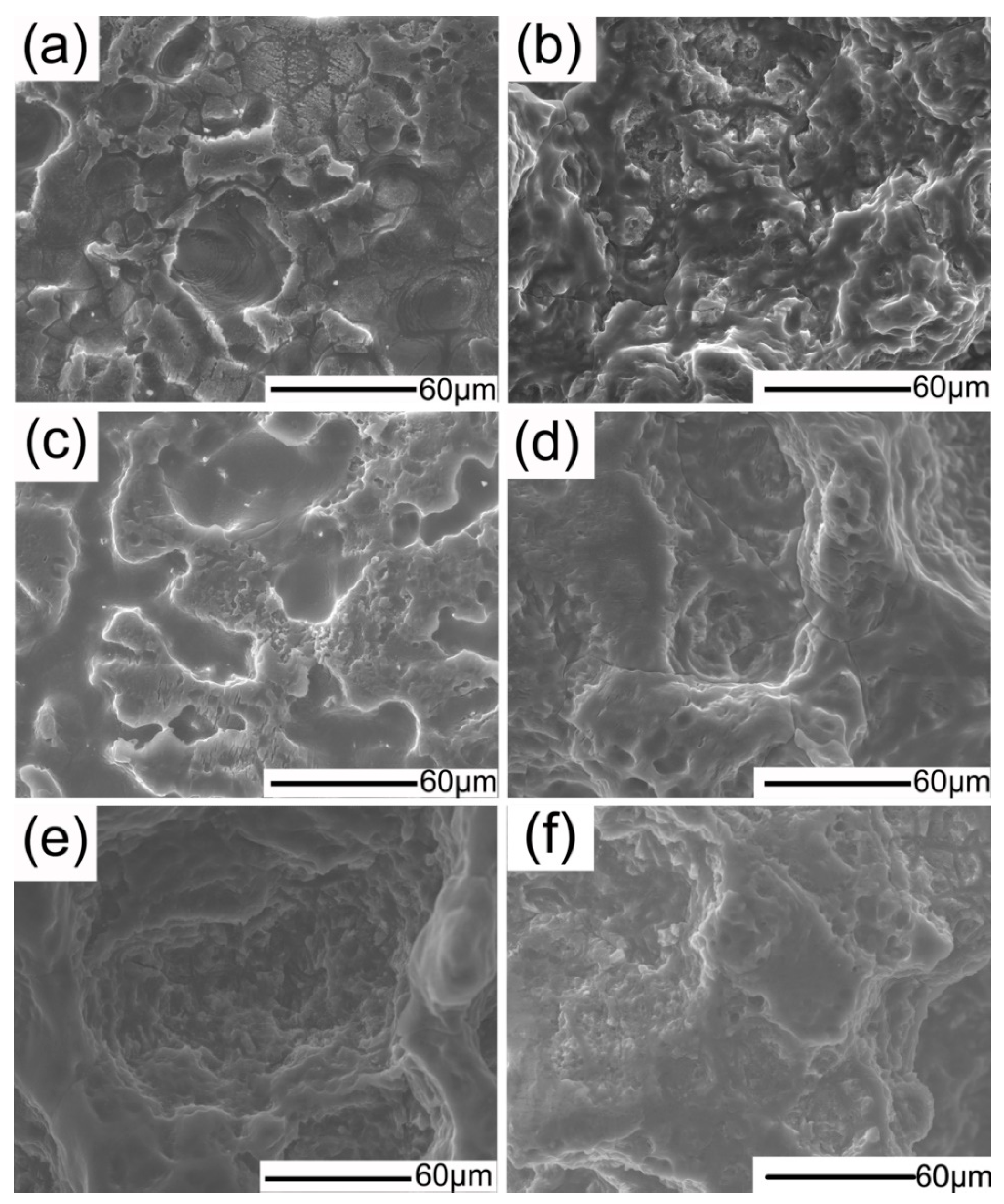 Coatings 08 00261 g010