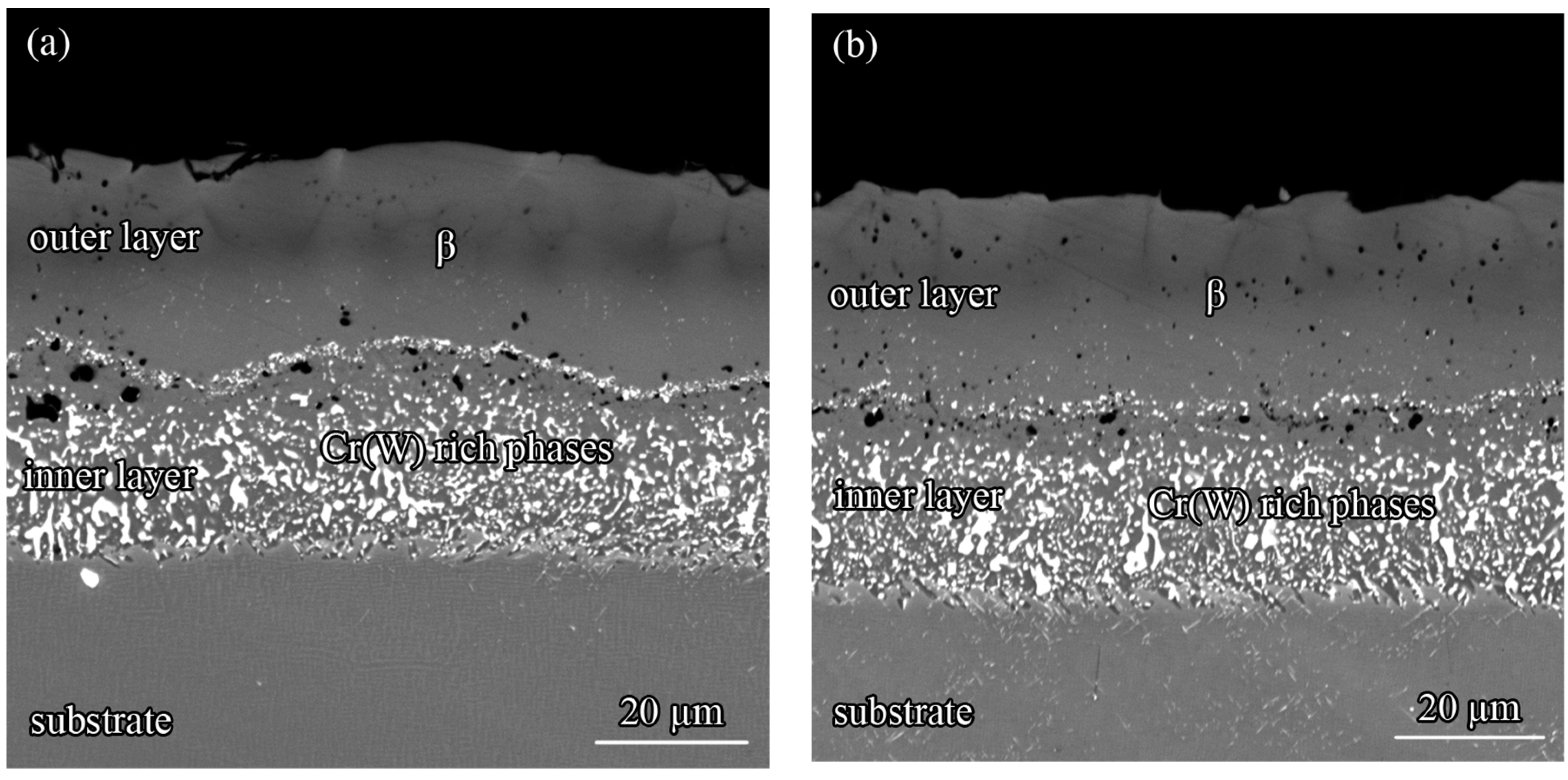 Coatings 08 00264 g003