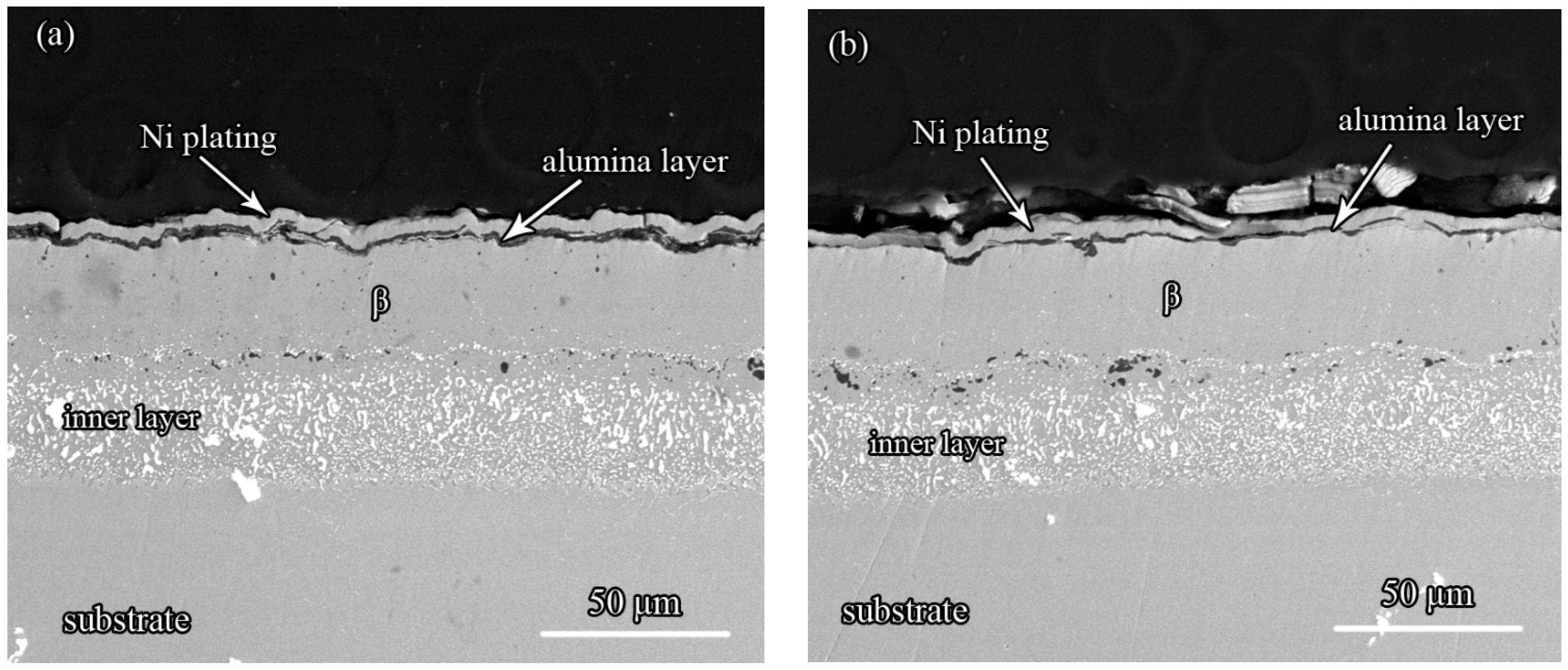 Coatings 08 00264 g006
