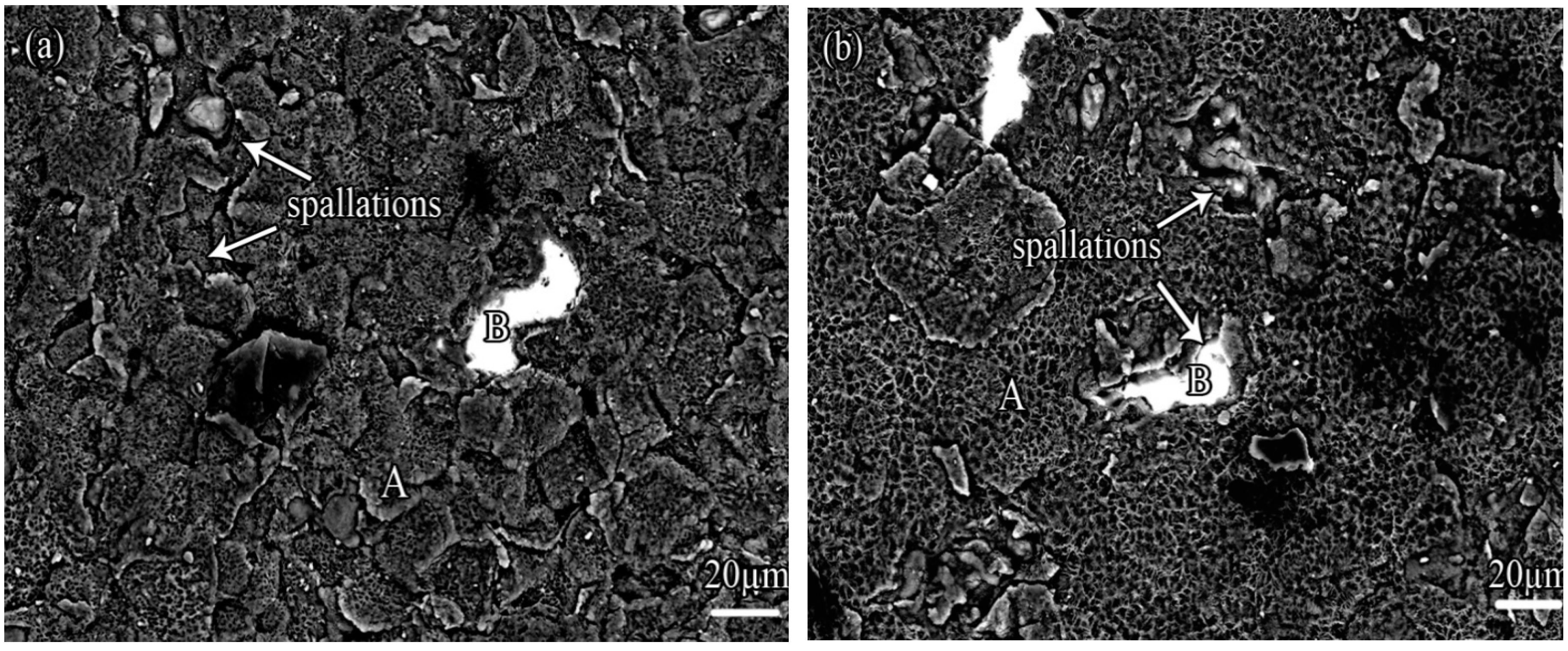 Coatings 08 00264 g007