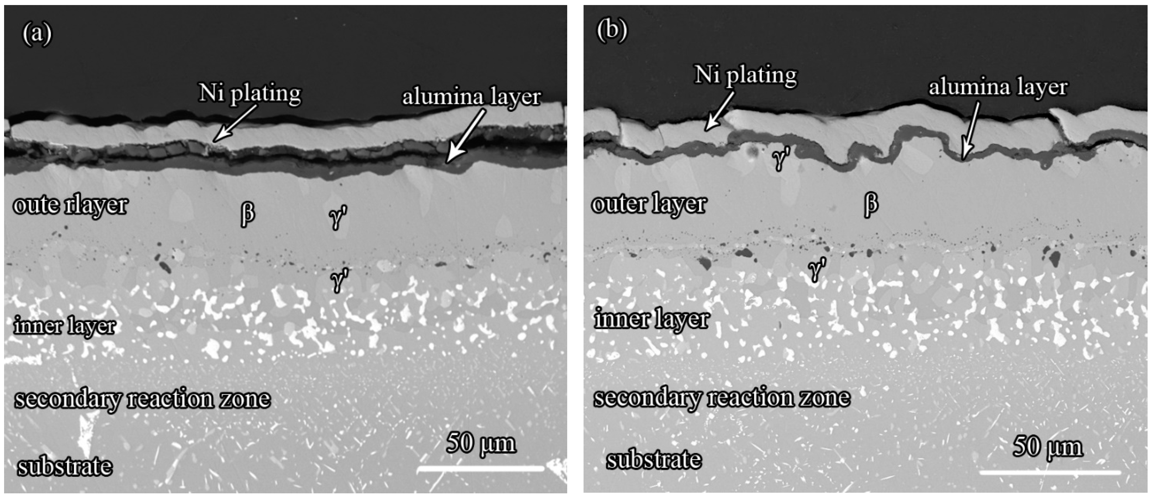 Coatings 08 00264 g008
