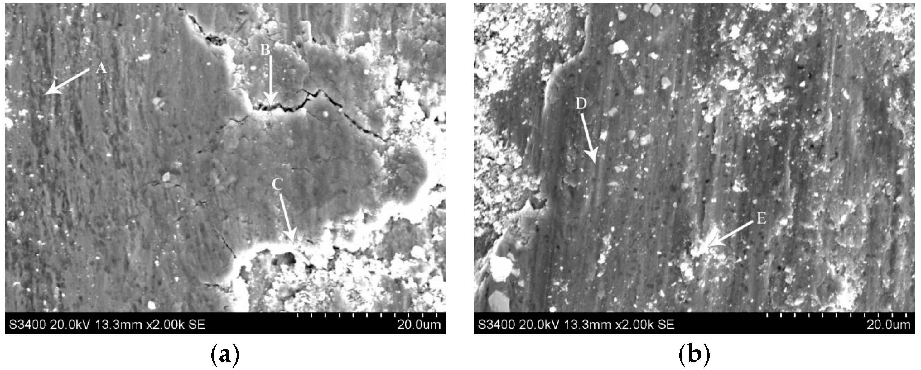 Coatings 08 00273 g011a