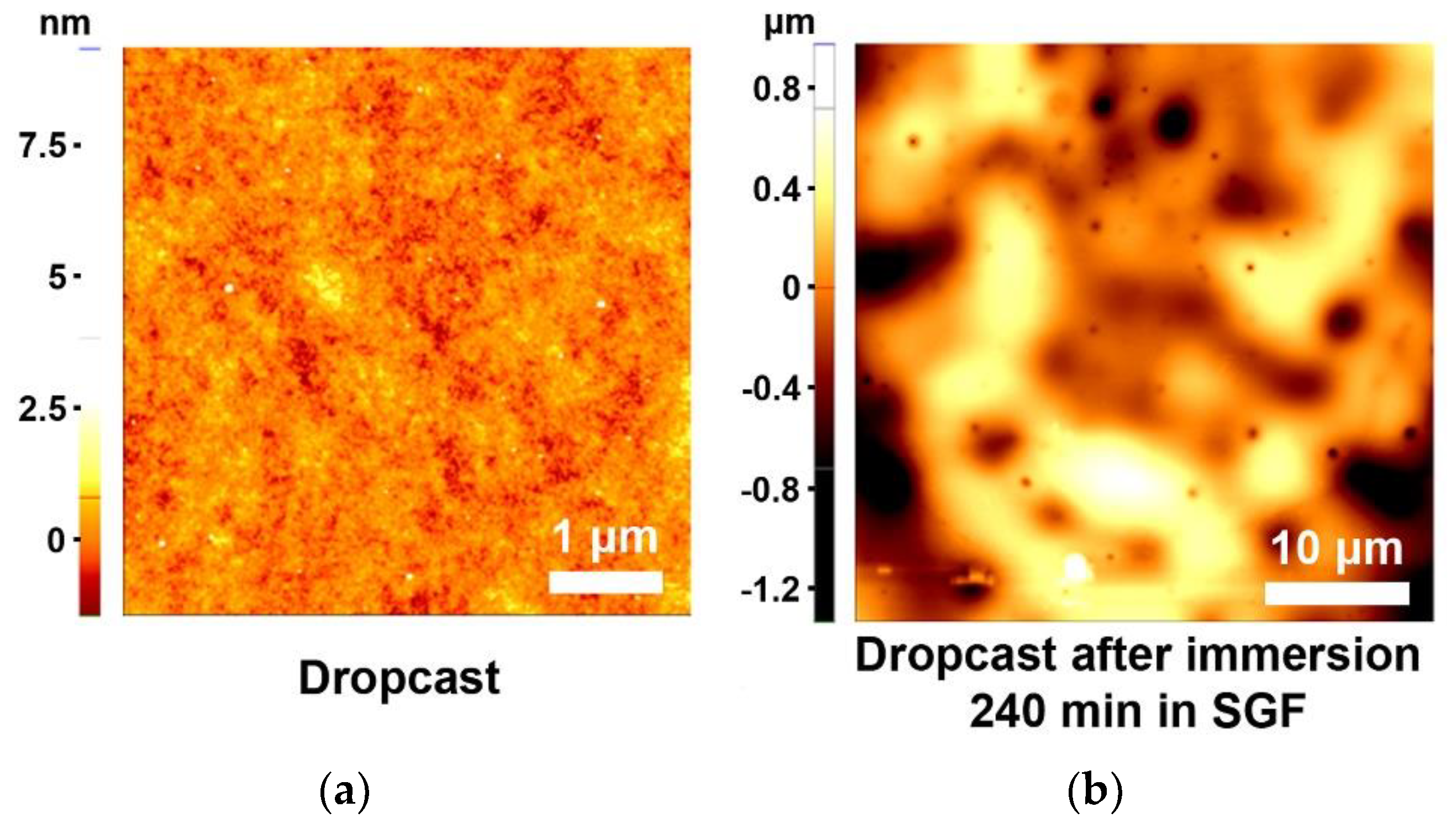Coatings 08 00275 g009