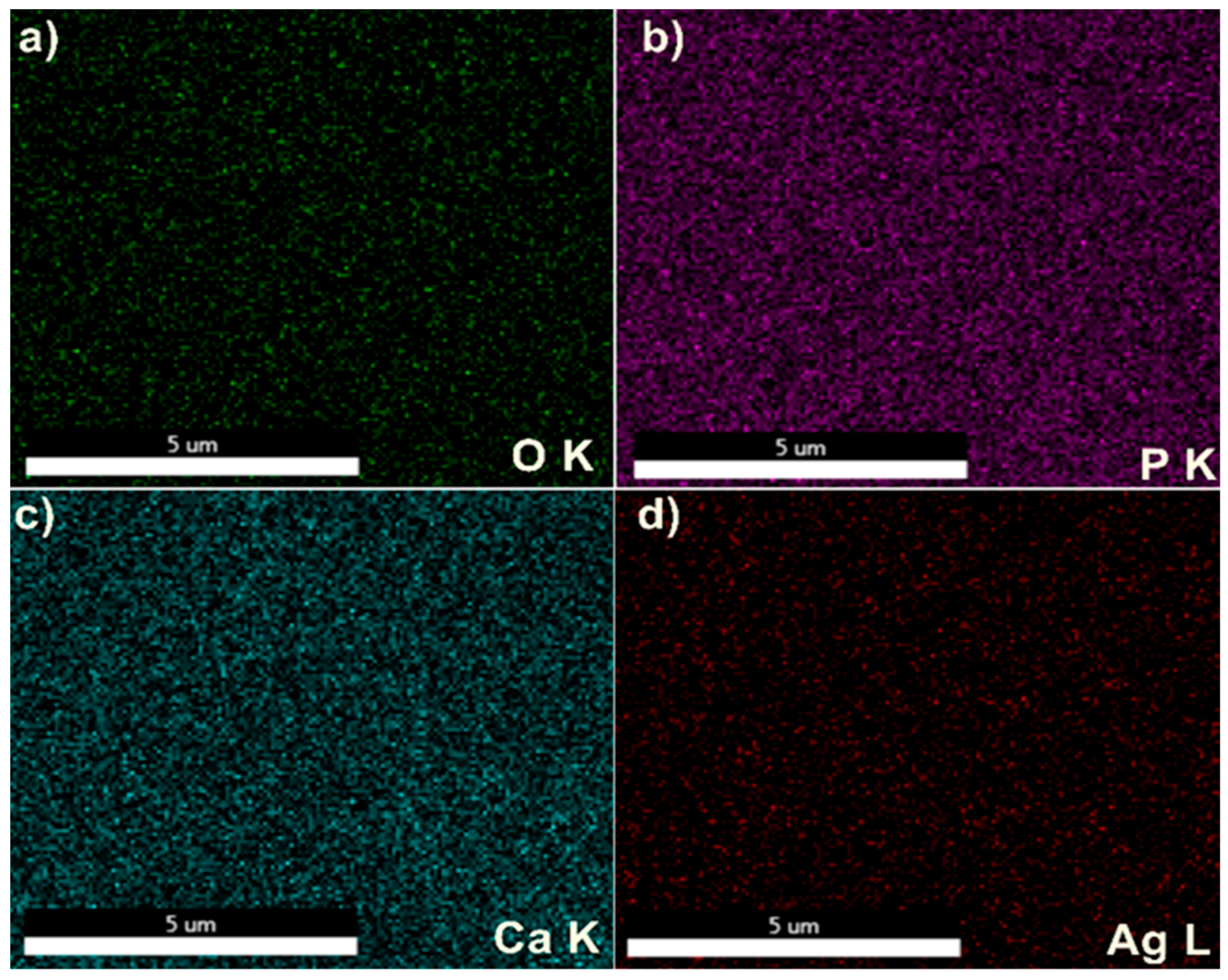 Coatings 08 00276 g008
