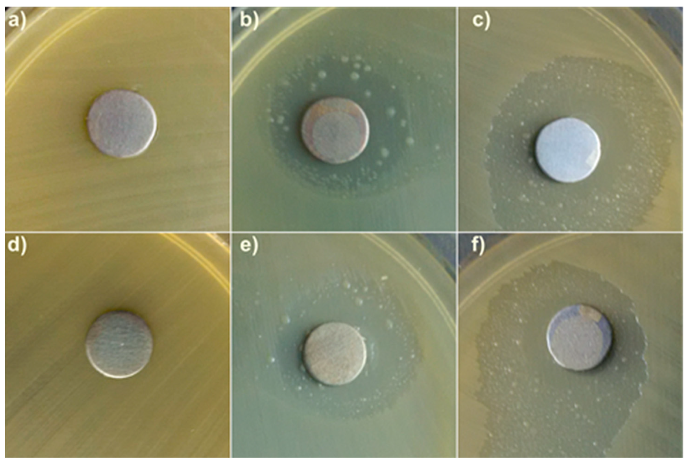 Coatings 08 00276 g010