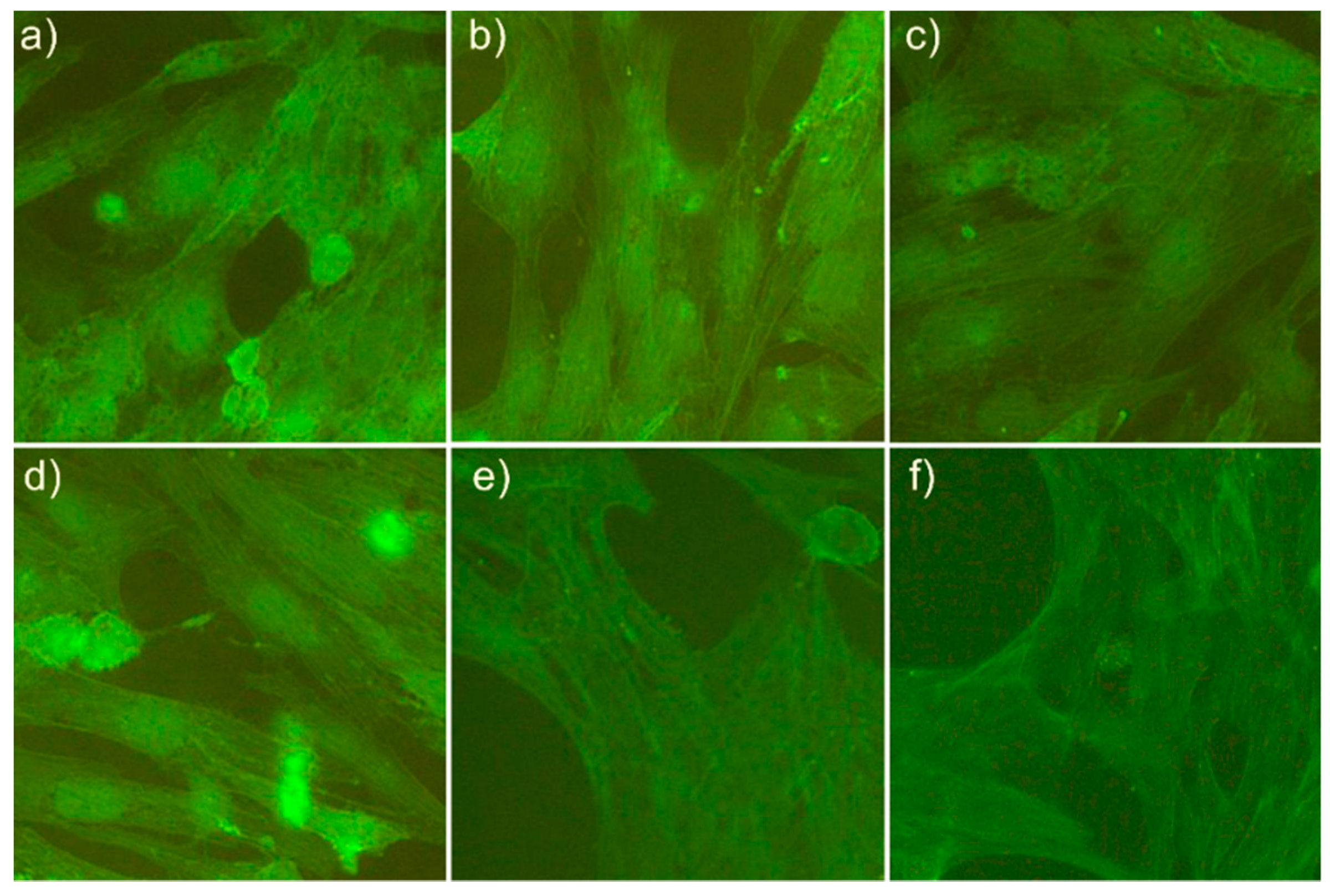 Coatings 08 00276 g014
