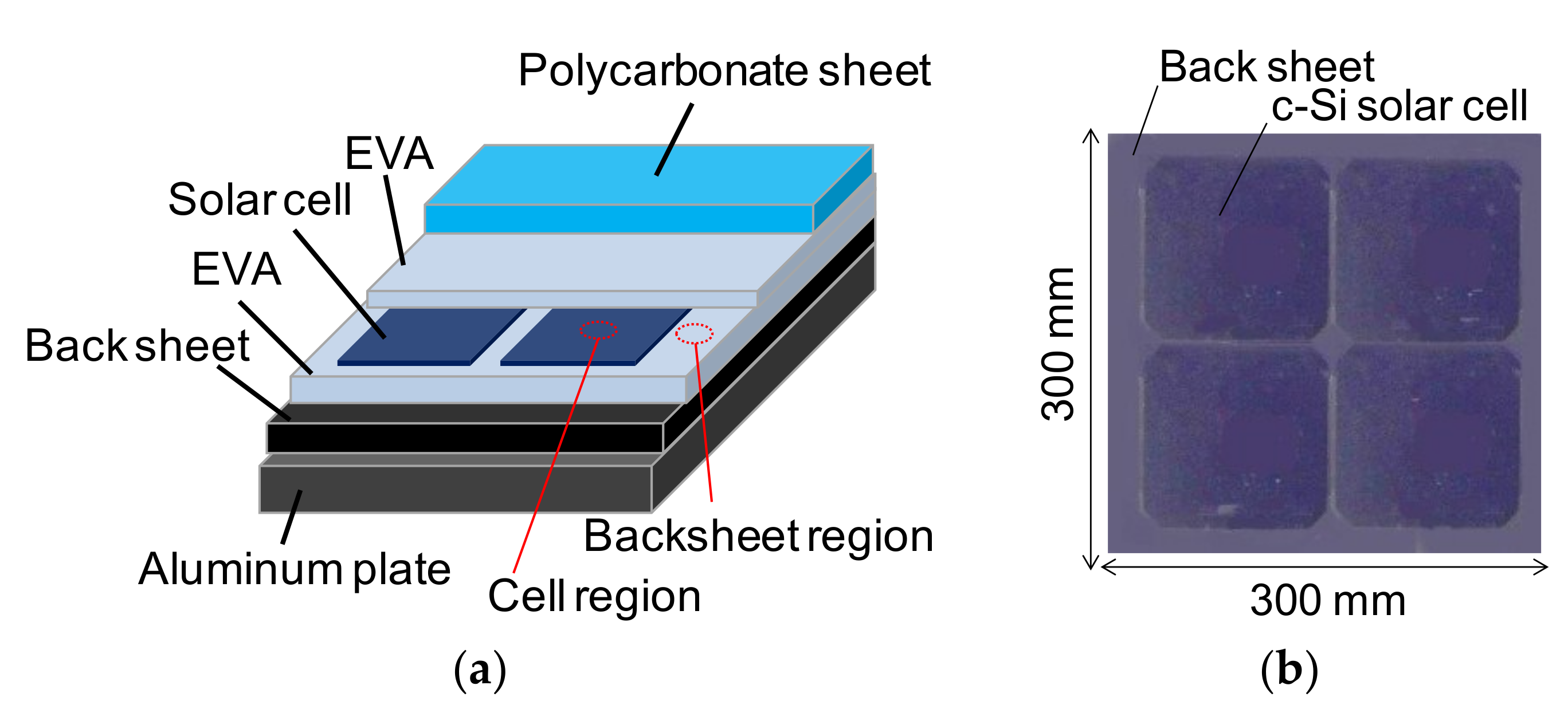 Coatings 08 00282 g001