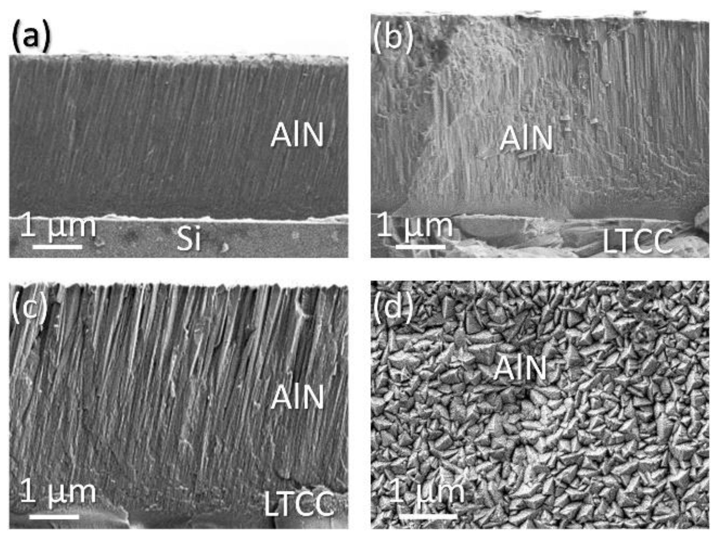 Coatings 08 00289 g005