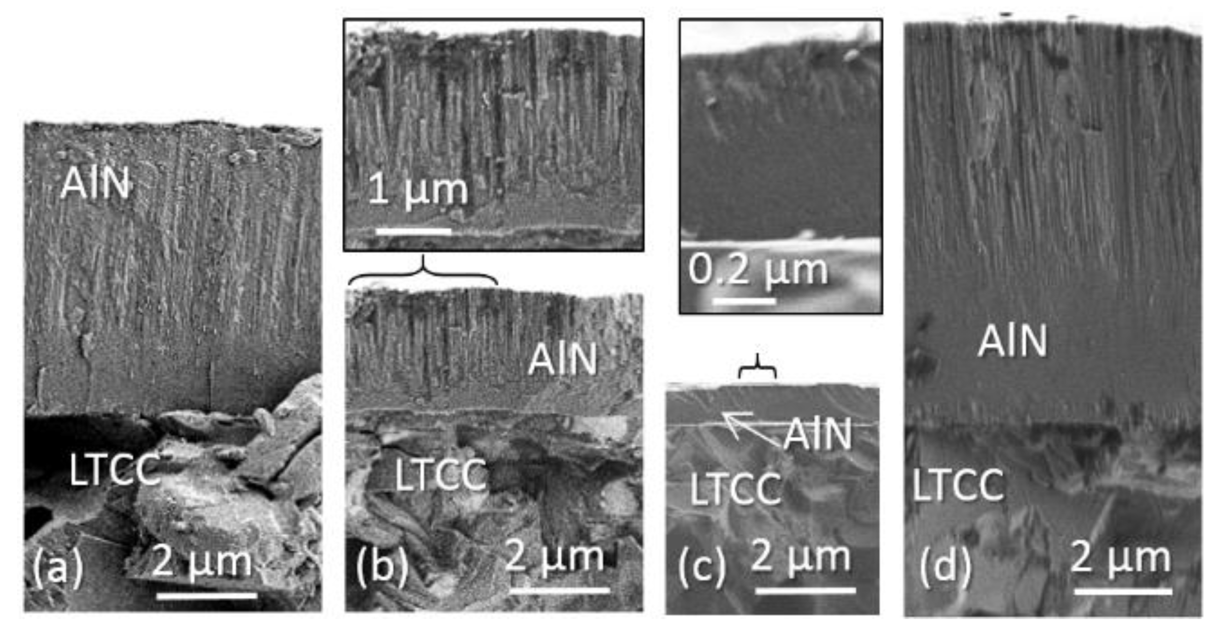 Coatings 08 00289 g008