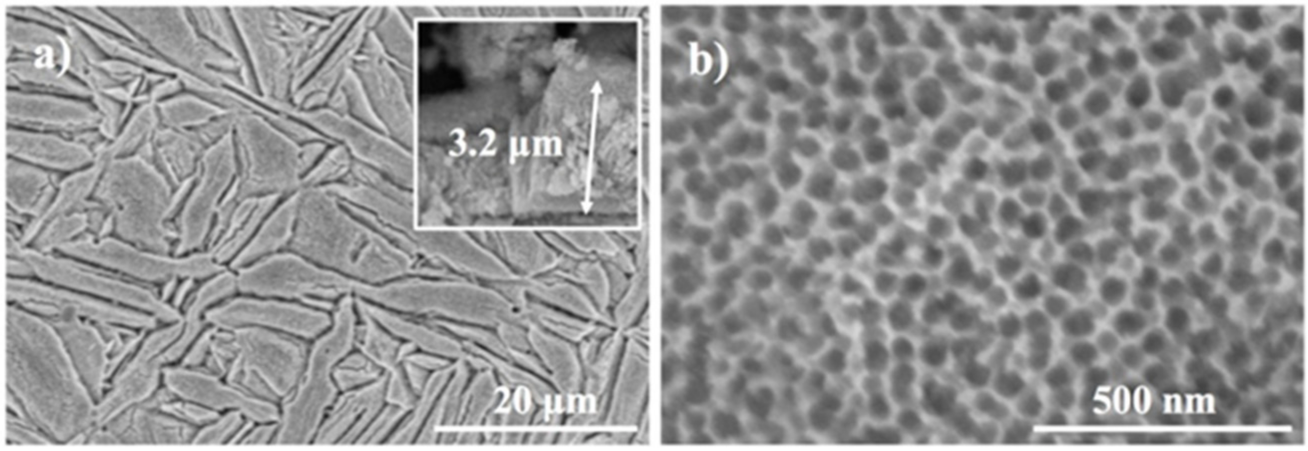 Coatings 08 00294 g001