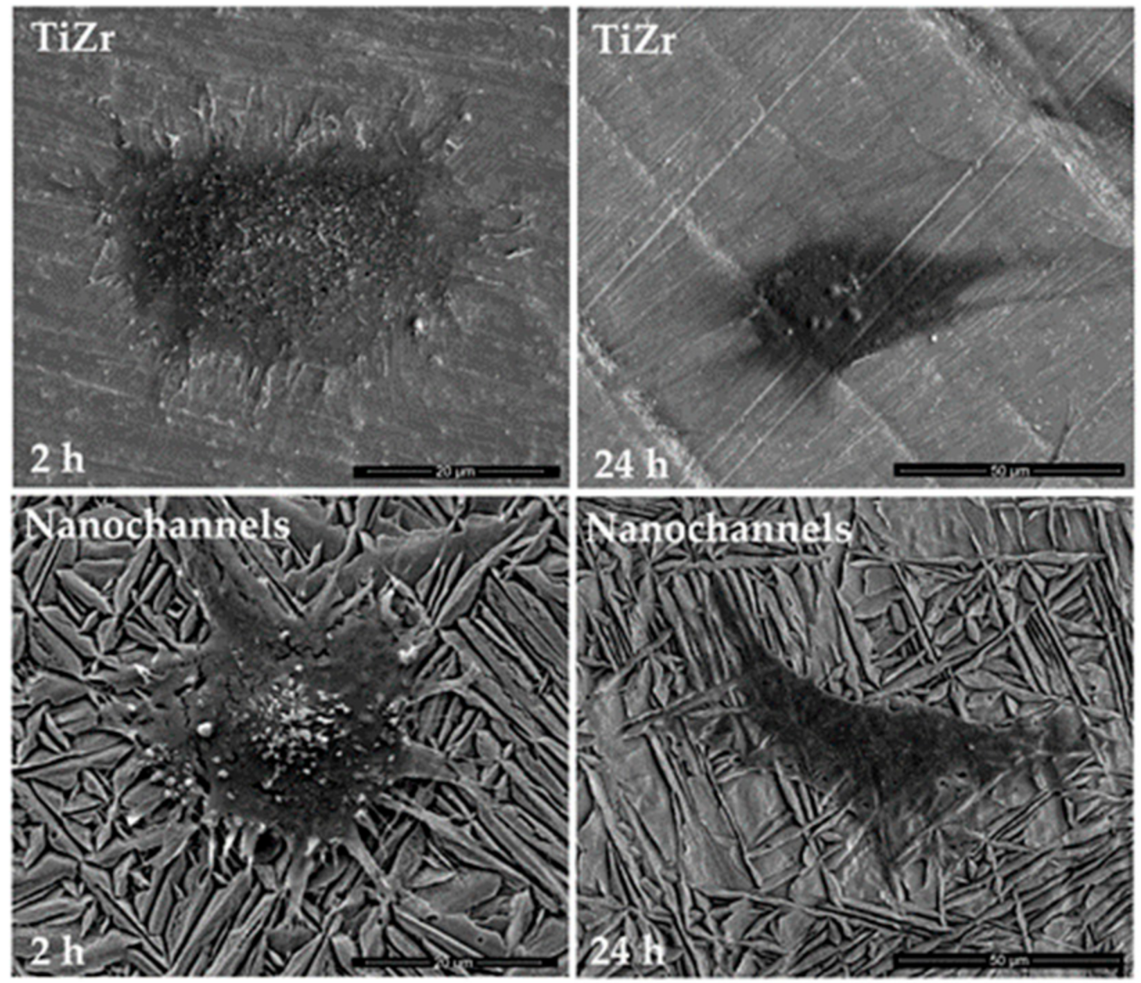 Coatings 08 00294 g003