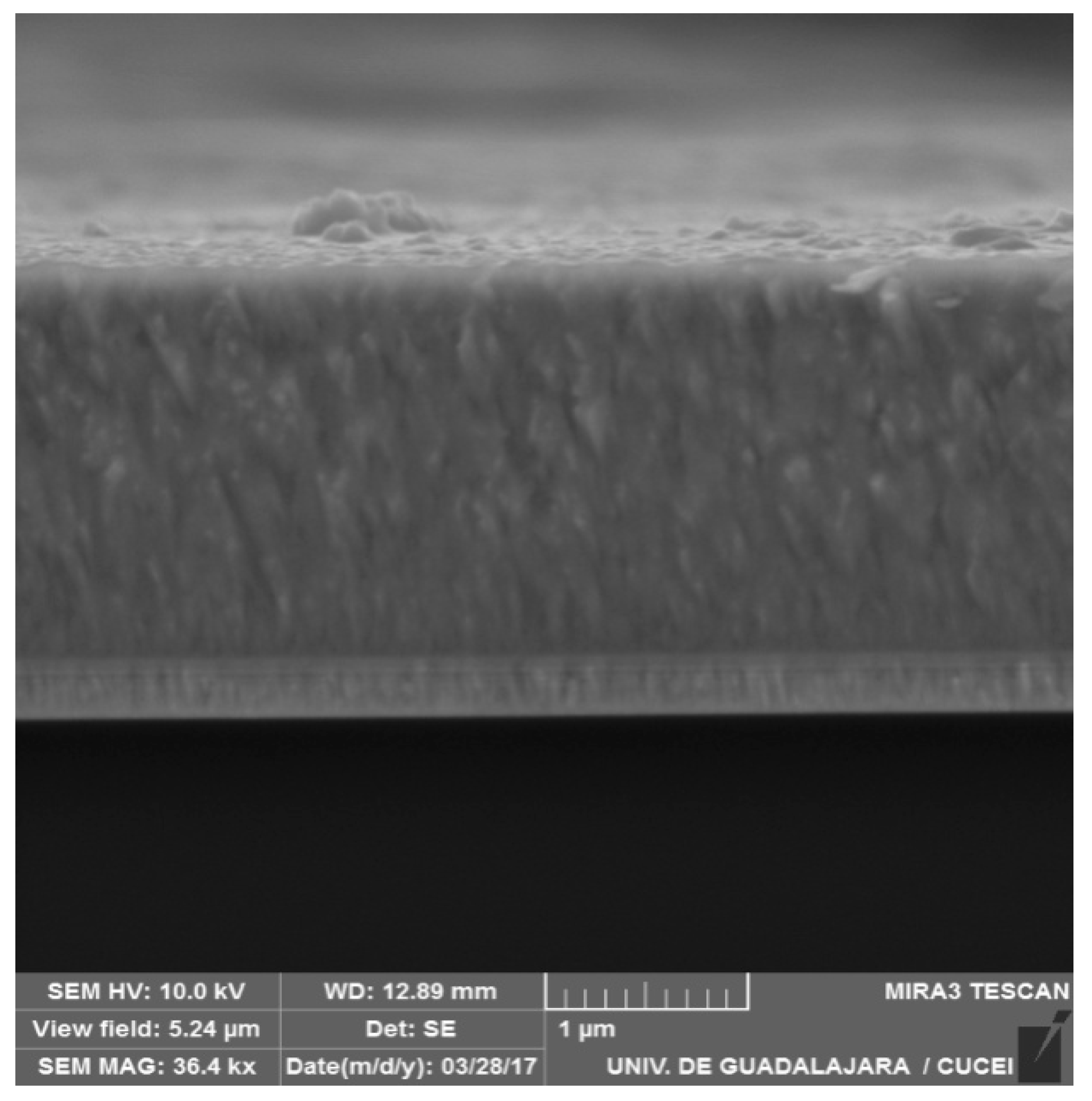 Coatings 08 00295 g001 Coatings 08 00295 g001