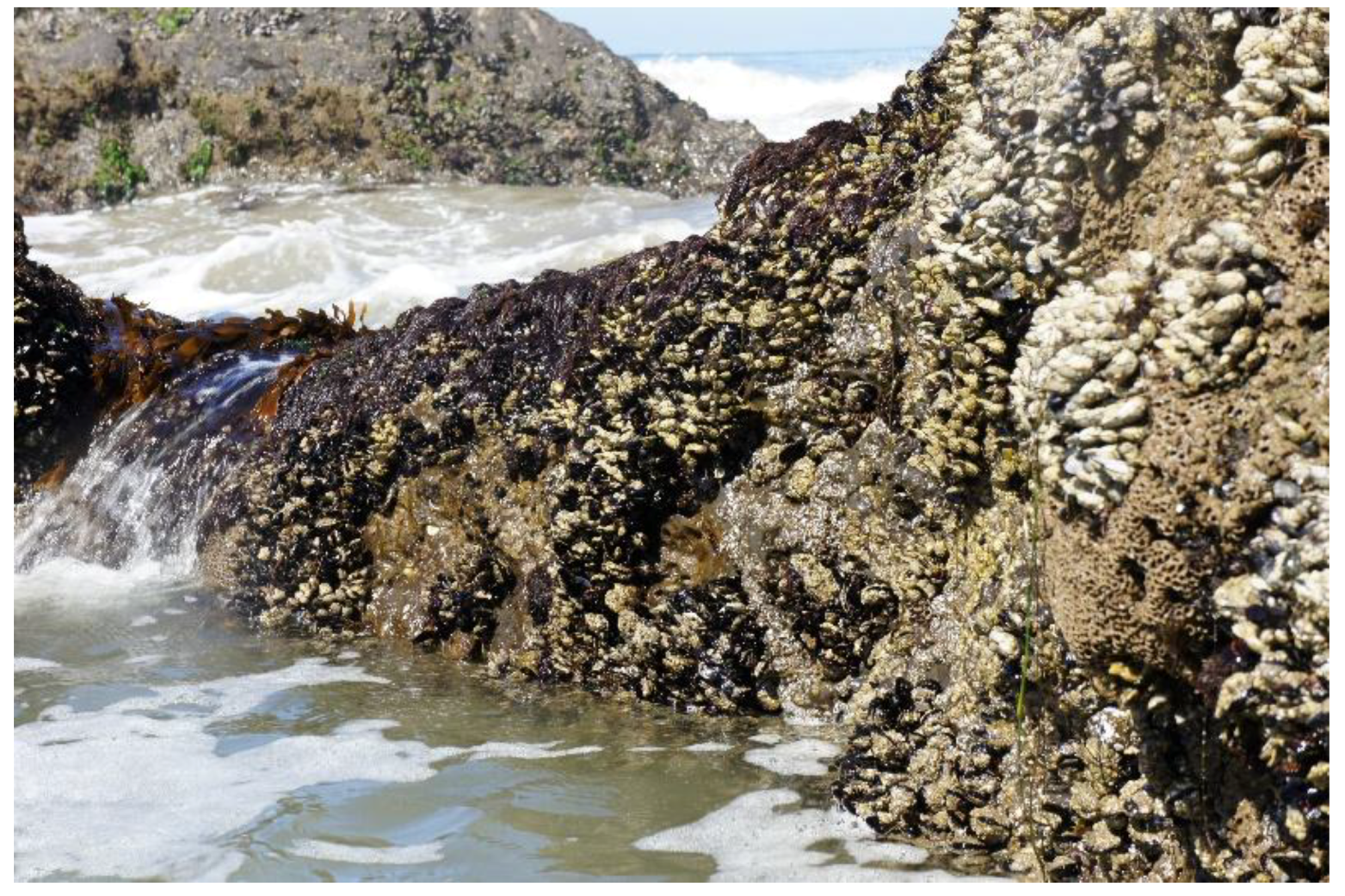 Coatings 08 00298 g001 Coatings 08 00298 g001