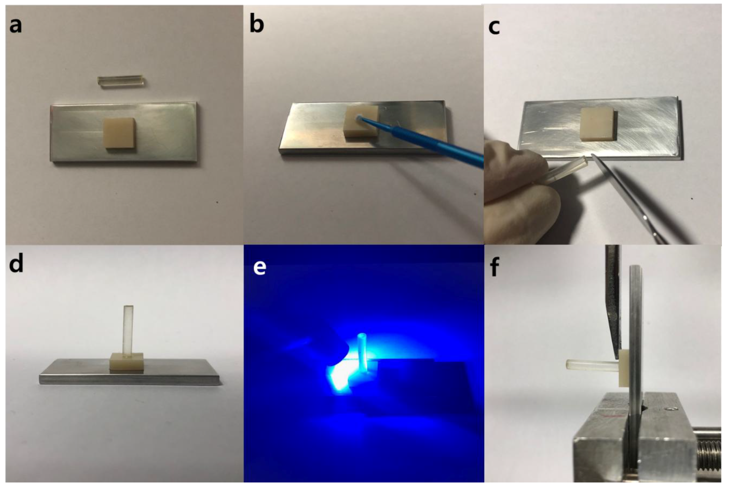 Coatings 08 00298 g002 Coatings 08 00298 g002