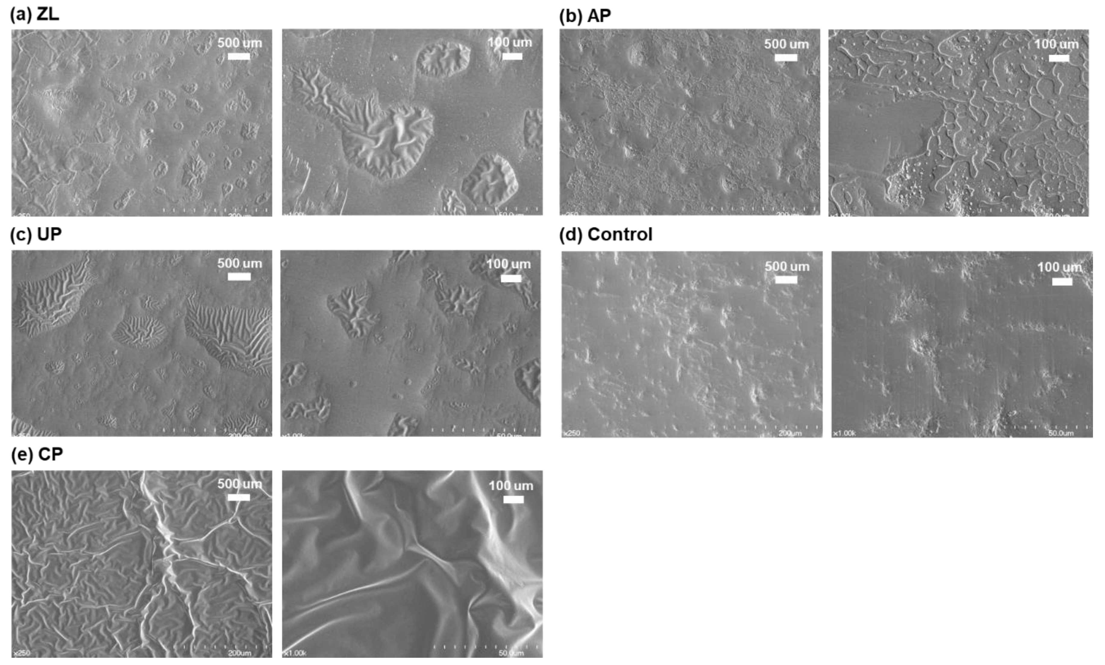 Coatings 08 00298 g003 Coatings 08 00298 g003