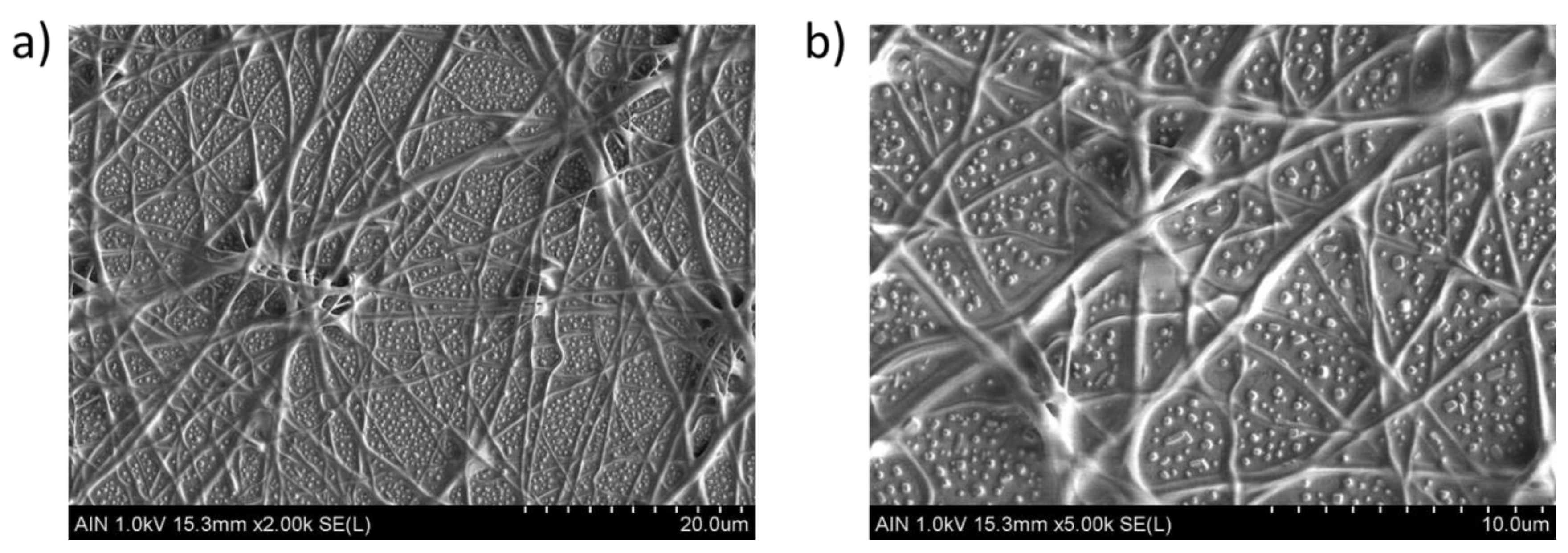 Coatings 08 00300 g009 Coatings 08 00300 g009