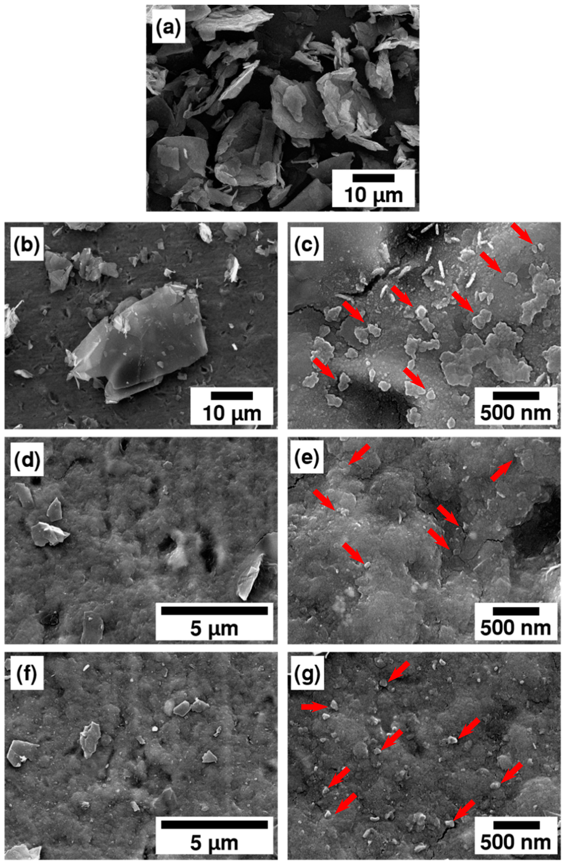 Coatings 08 00302 g004 Coatings 08 00302 g004