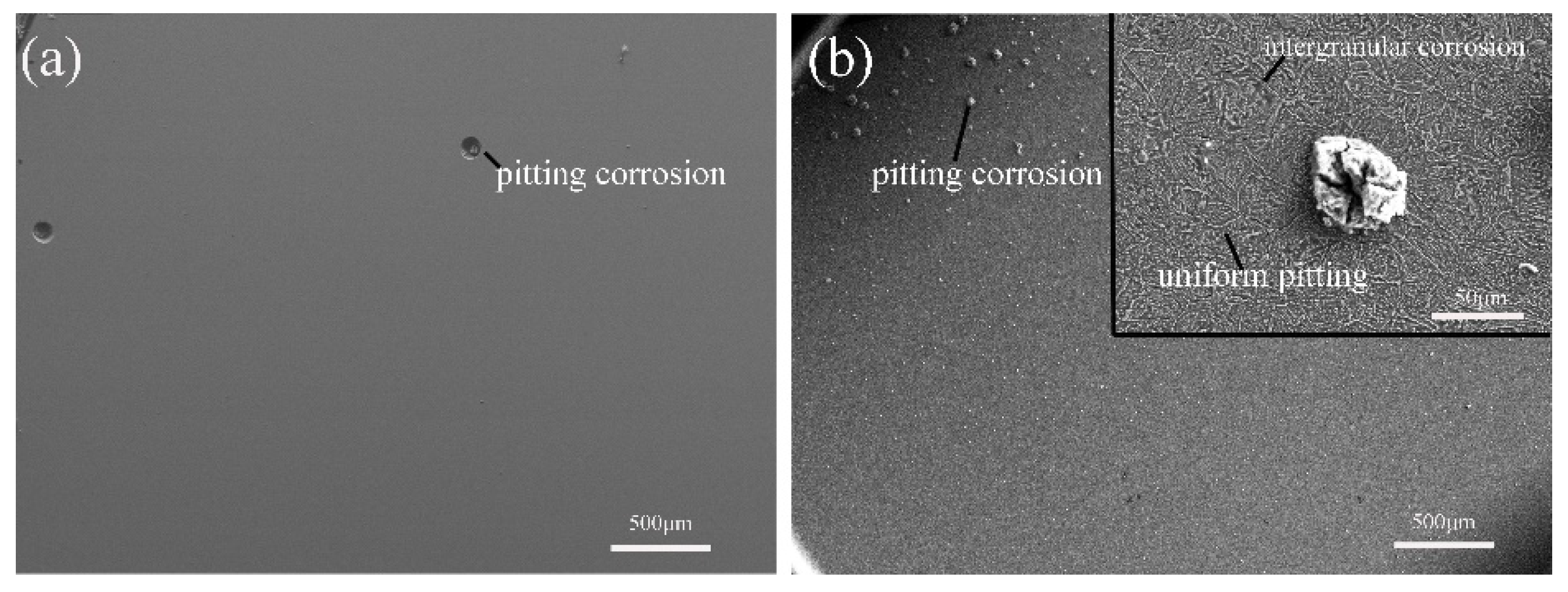 Coatings 08 00313 g007