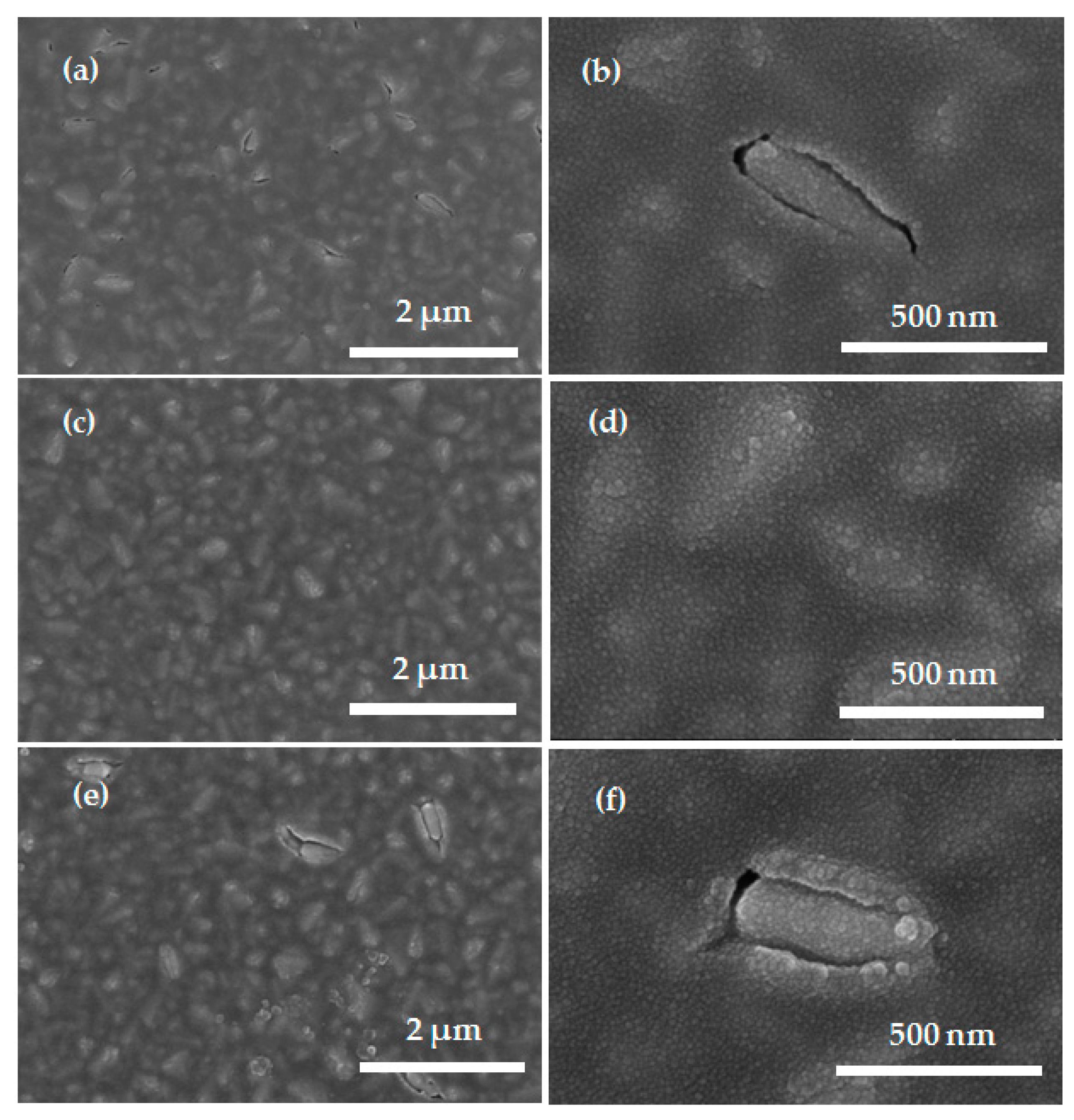 Coatings 08 00314 g002