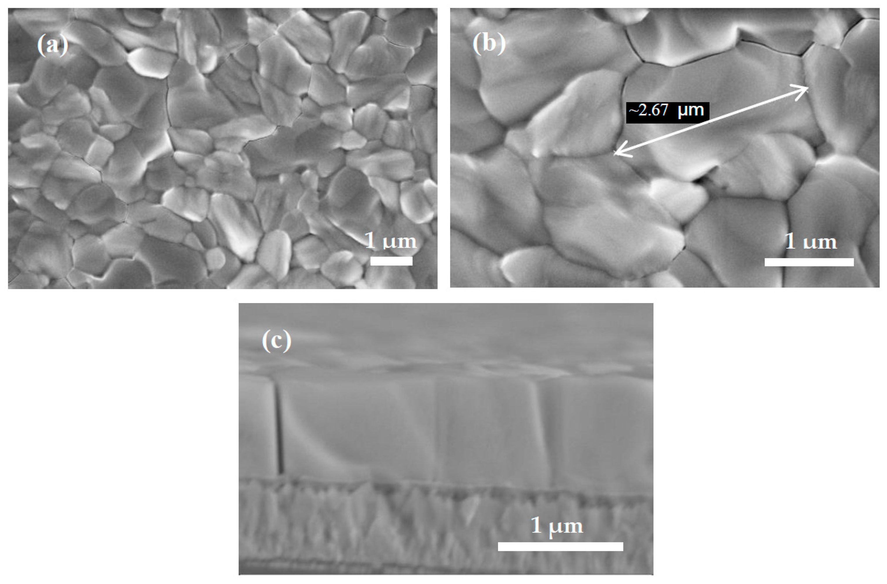 Coatings 08 00314 g007
