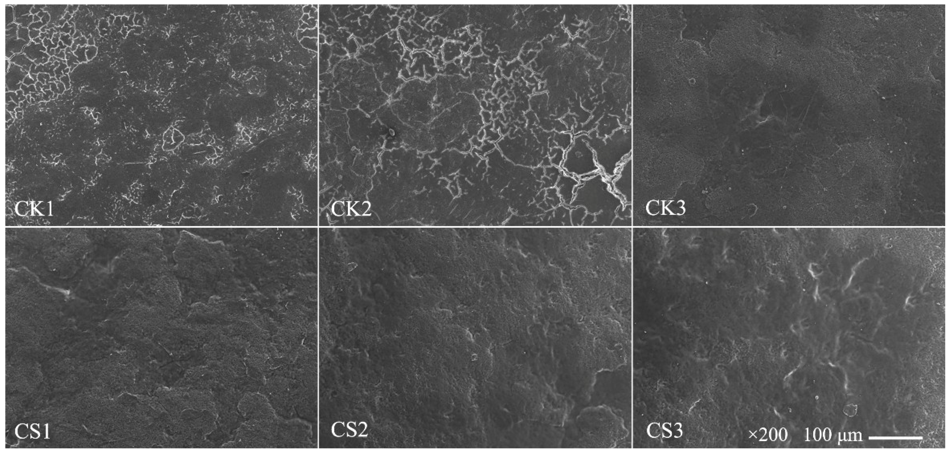 Coatings 08 00317 g003 Coatings 08 00317 g003