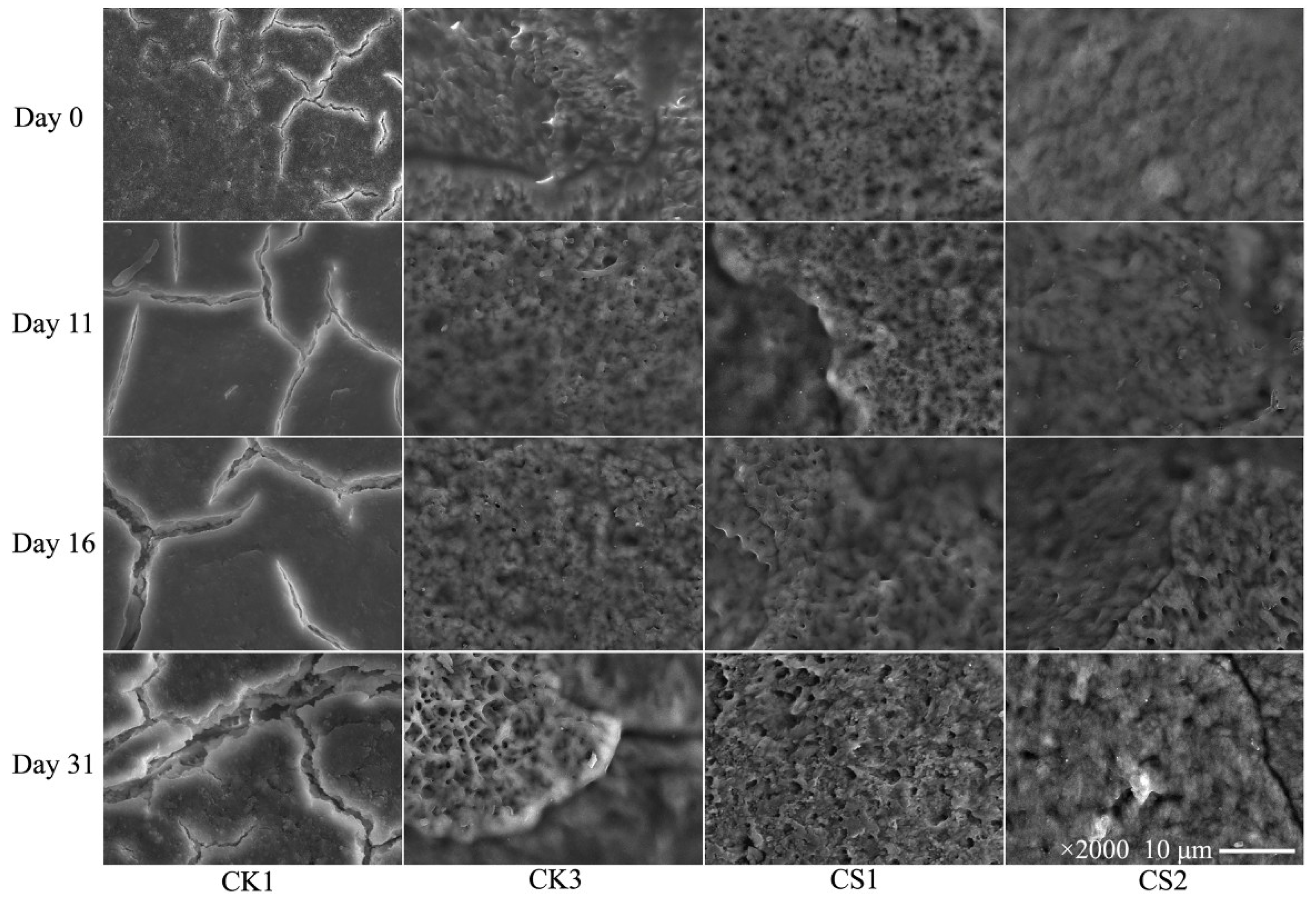 Coatings 08 00317 g005 Coatings 08 00317 g005