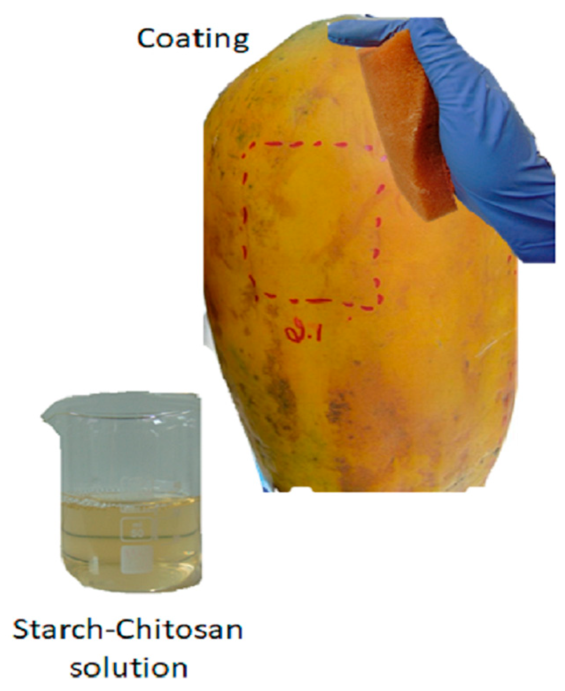 Coatings 08 00318 g001 Coatings 08 00318 g001