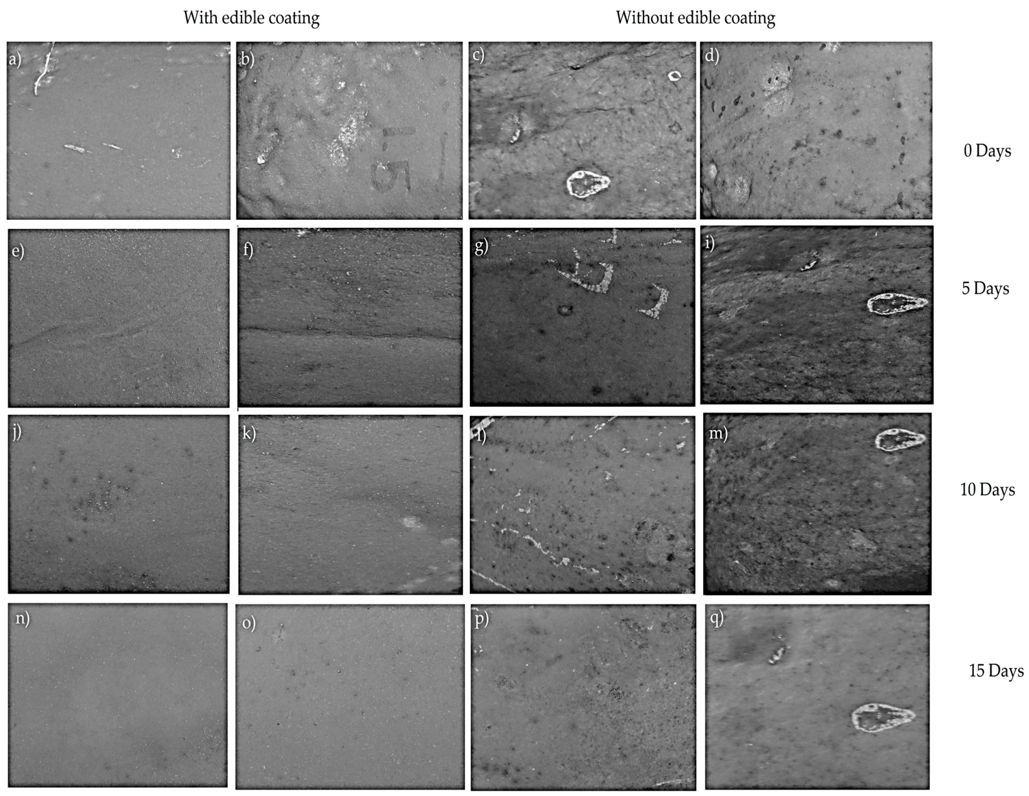 Coatings 08 00318 g007 Coatings 08 00318 g007