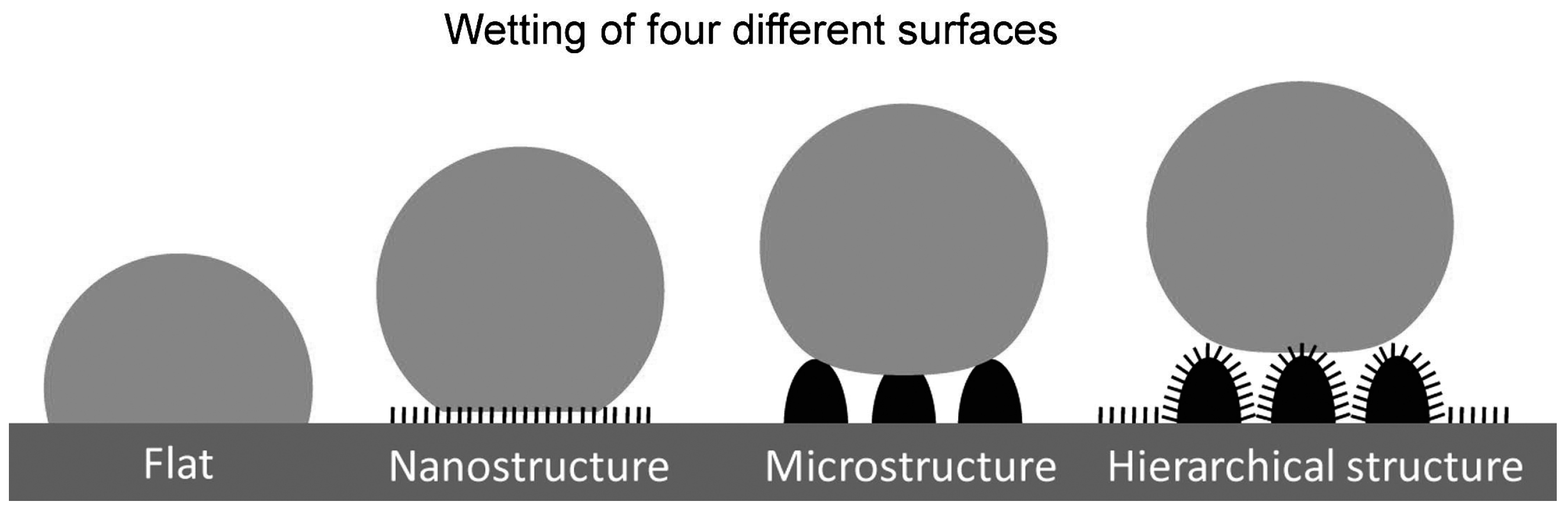 Coatings 08 00319 g006 Coatings 08 00319 g006