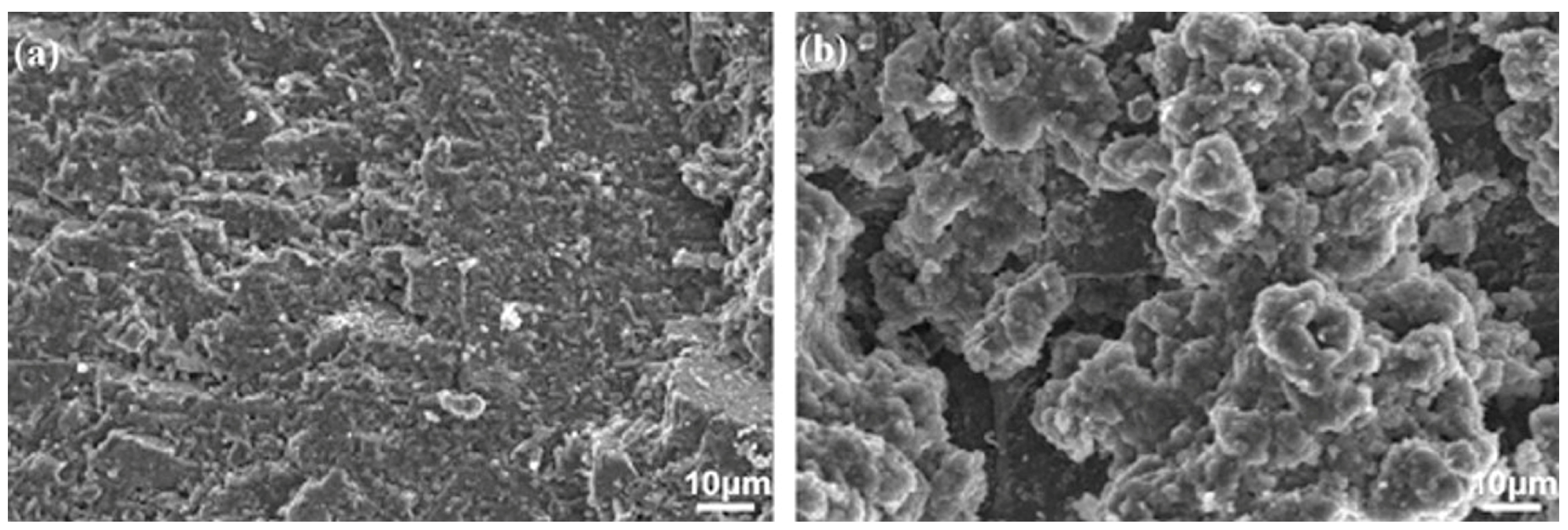 Coatings 08 00319 g007 Coatings 08 00319 g007