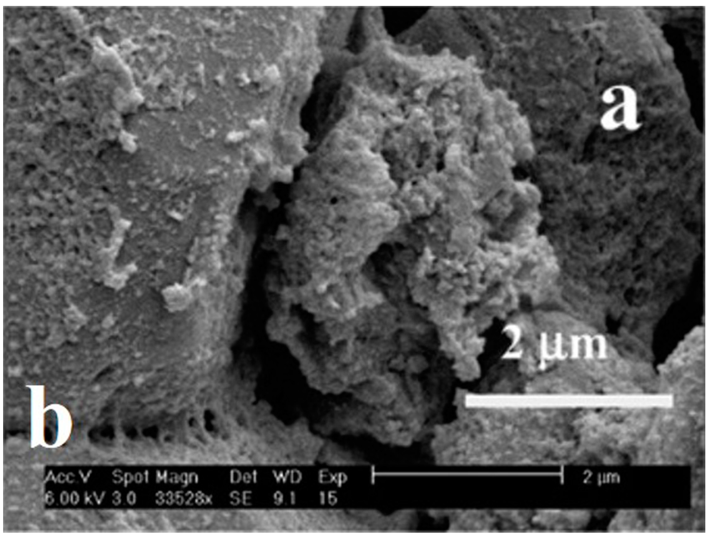 Coatings 08 00319 g009 Coatings 08 00319 g009