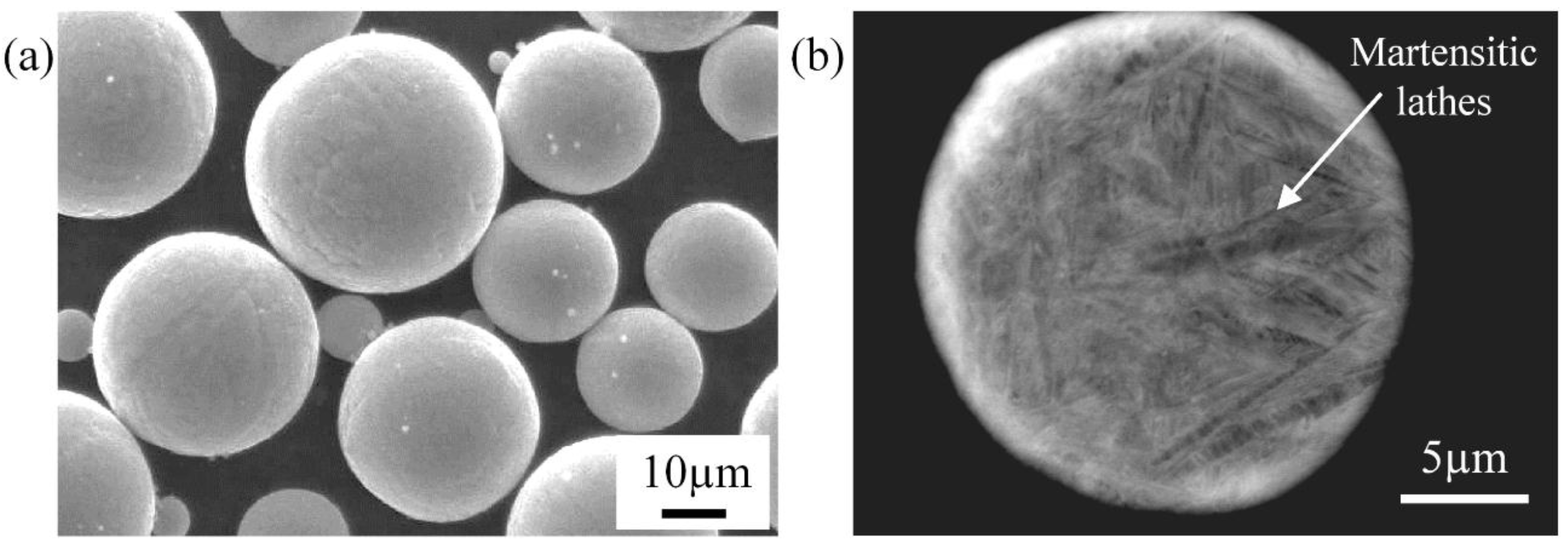 Coatings 08 00327 g001