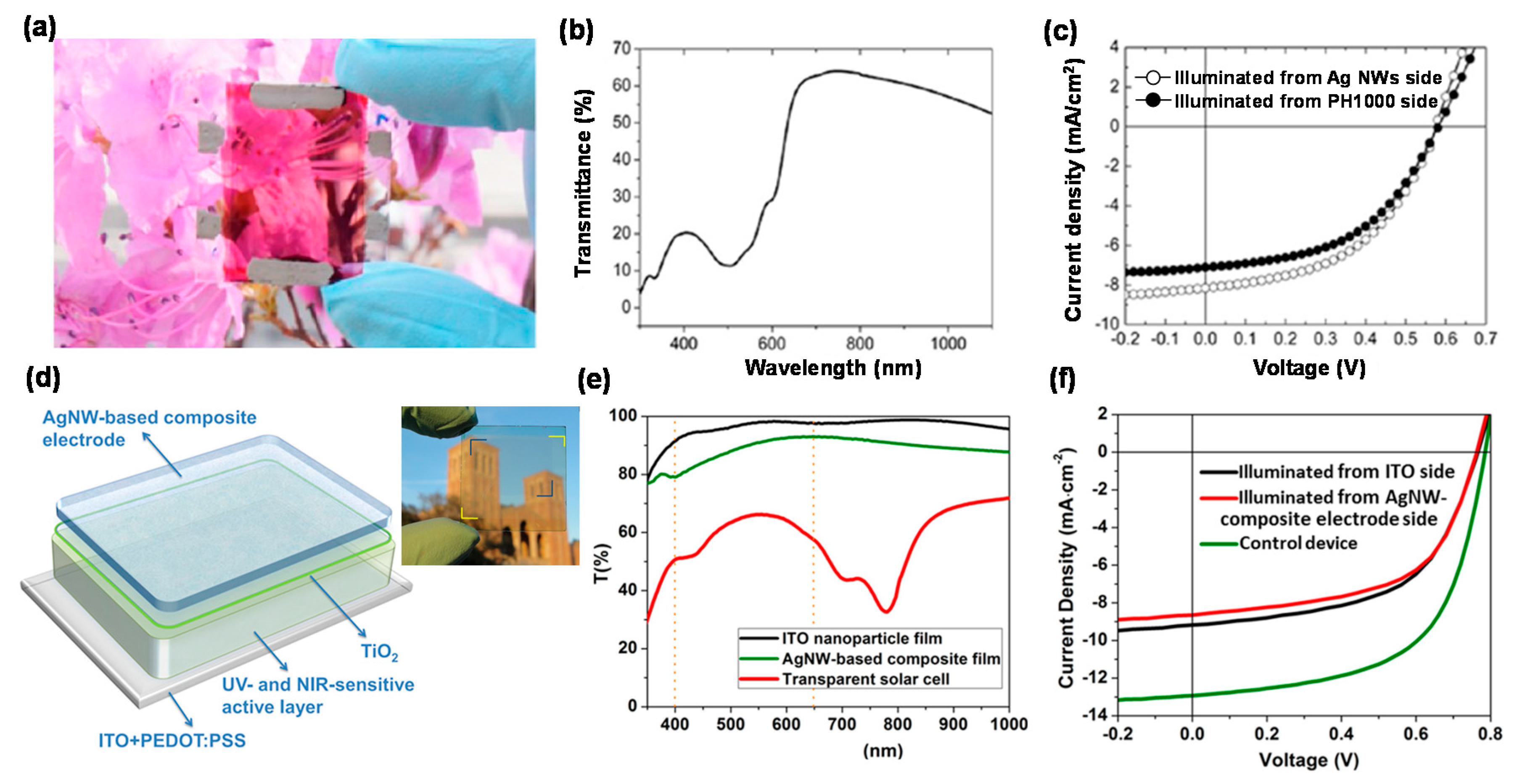 Coatings 08 00329 g004 Coatings 08 00329 g004