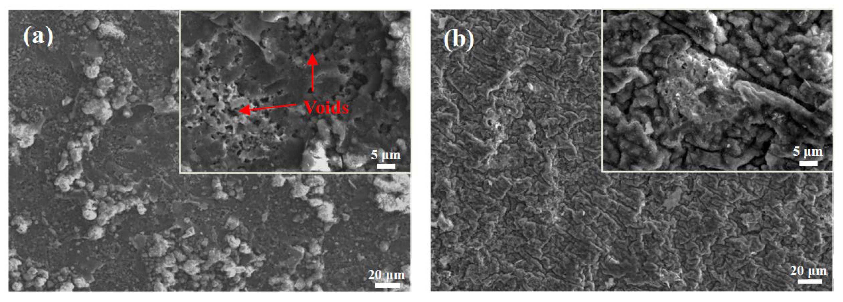 Coatings 08 00332 g003