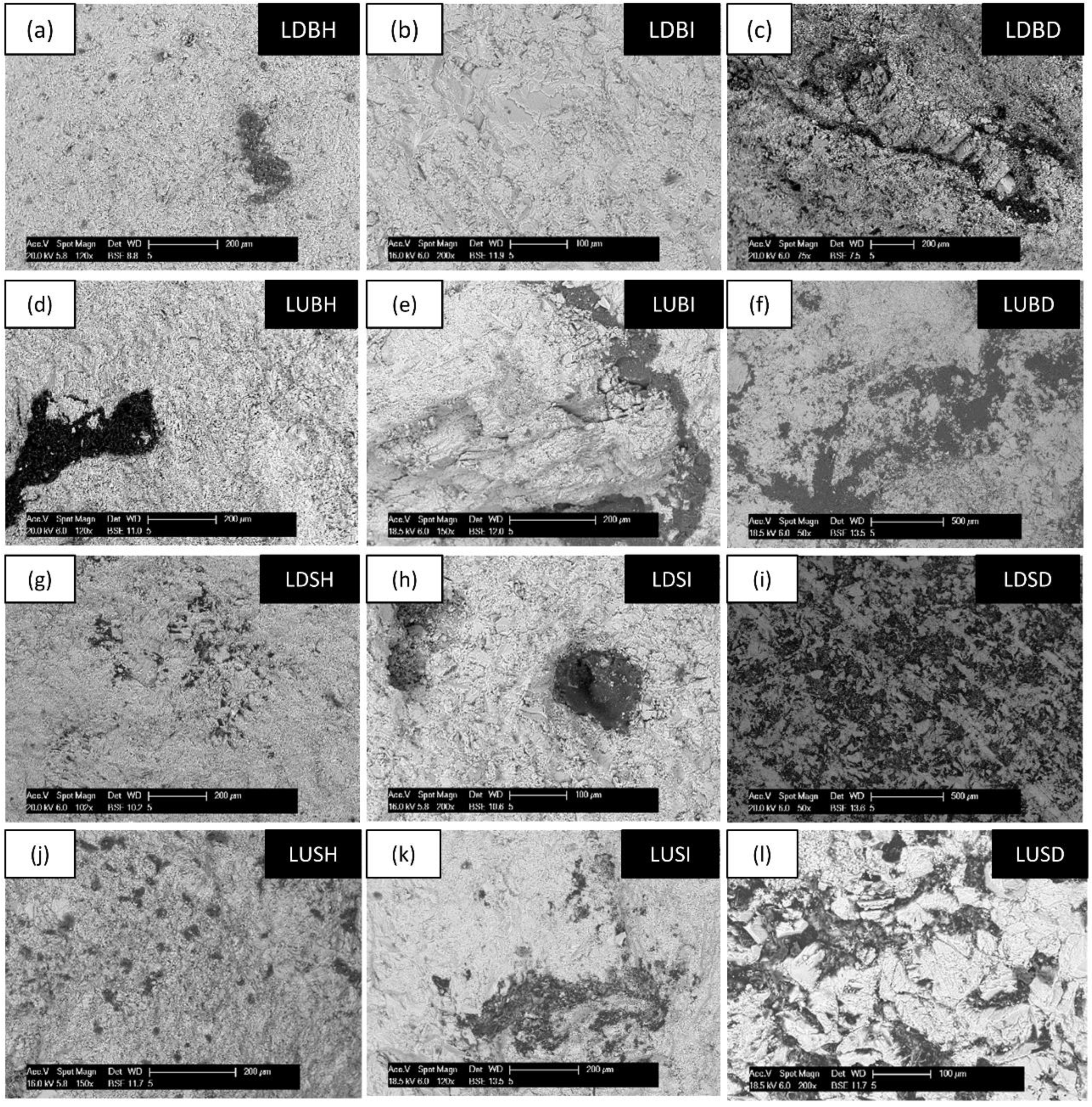 Coatings 08 00335 g005 550