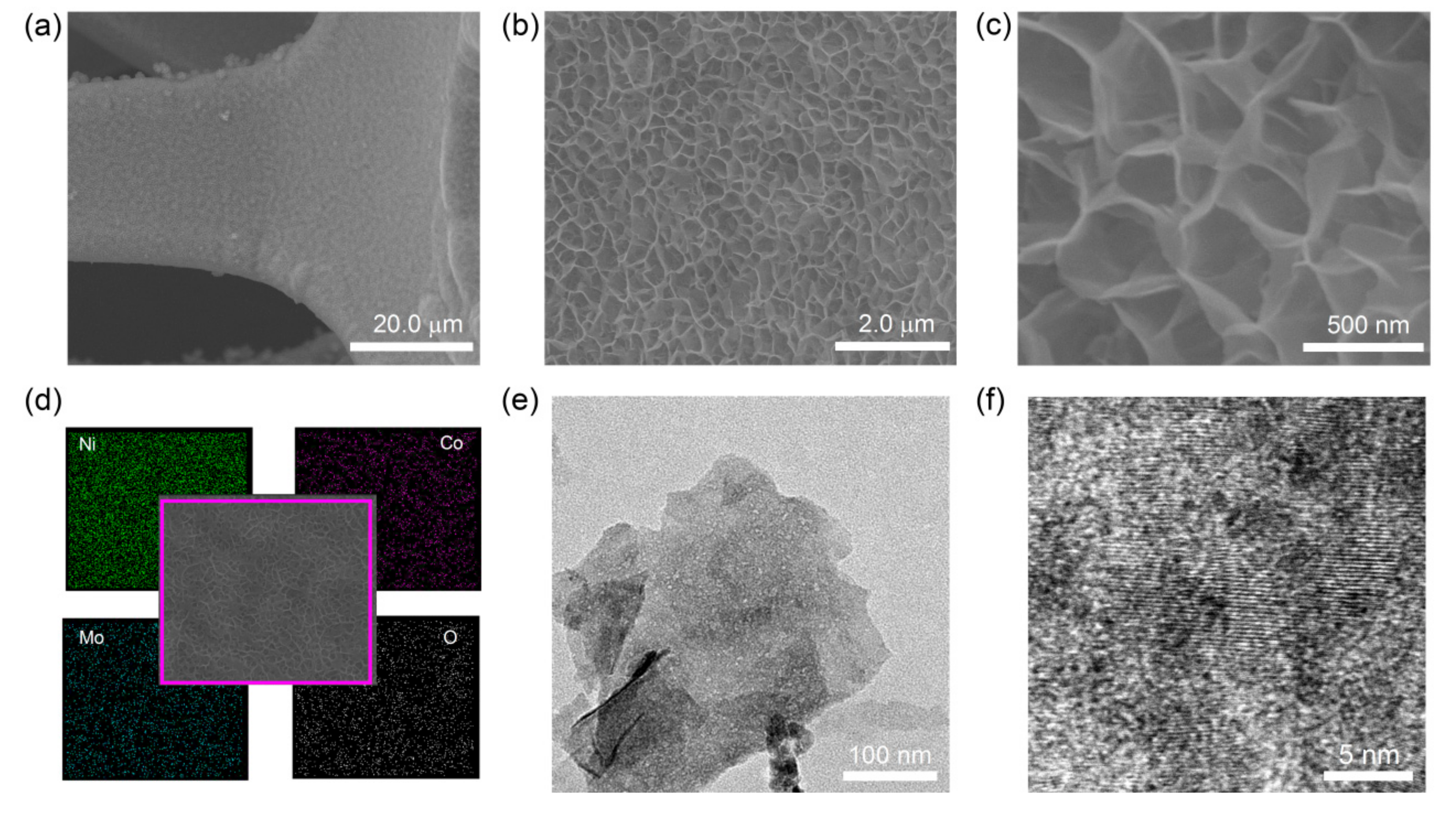 Coatings 08 00340 g002 Coatings 08 00340 g002