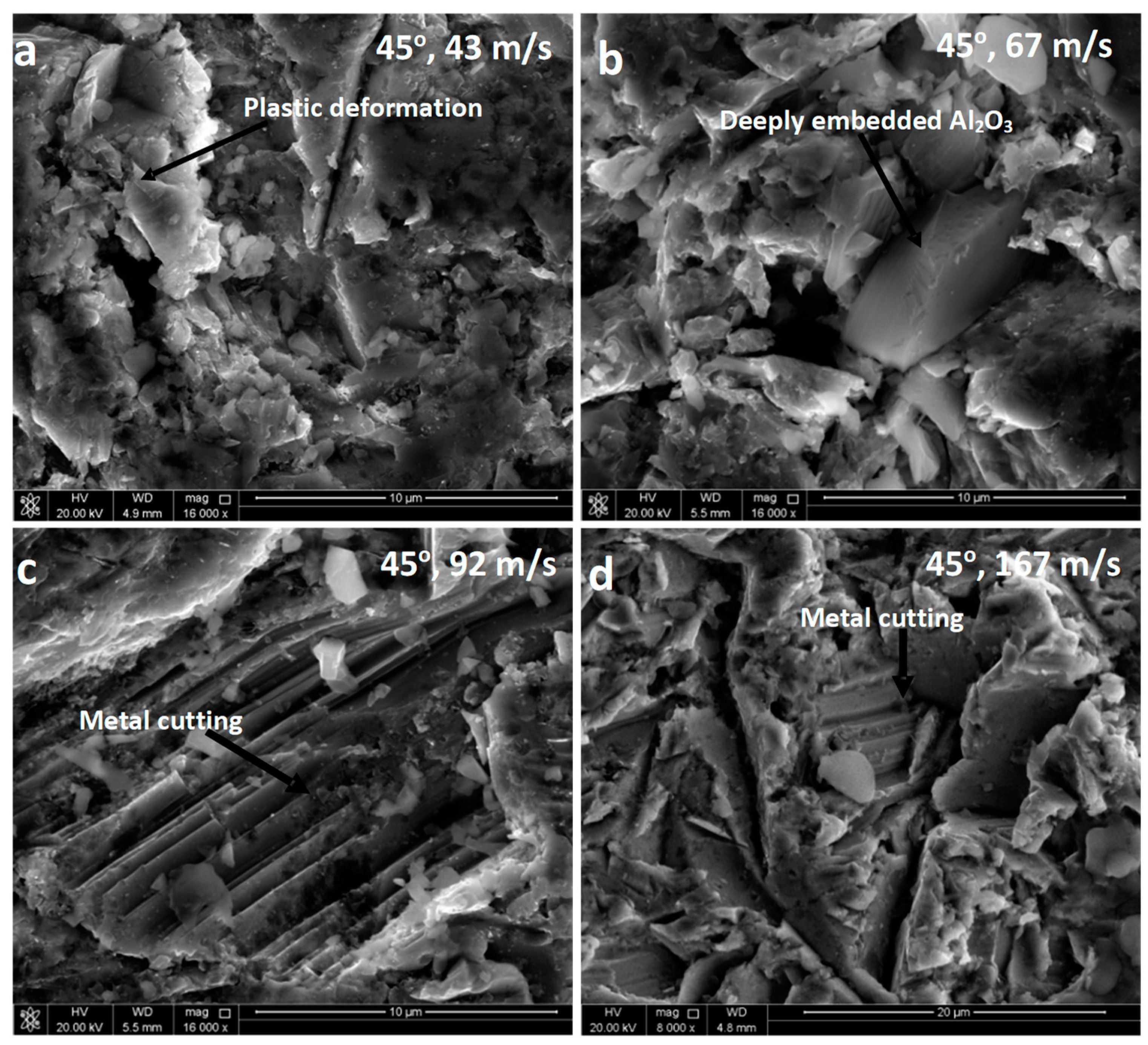 Coatings 08 00343 g007 Coatings 08 00343 g007