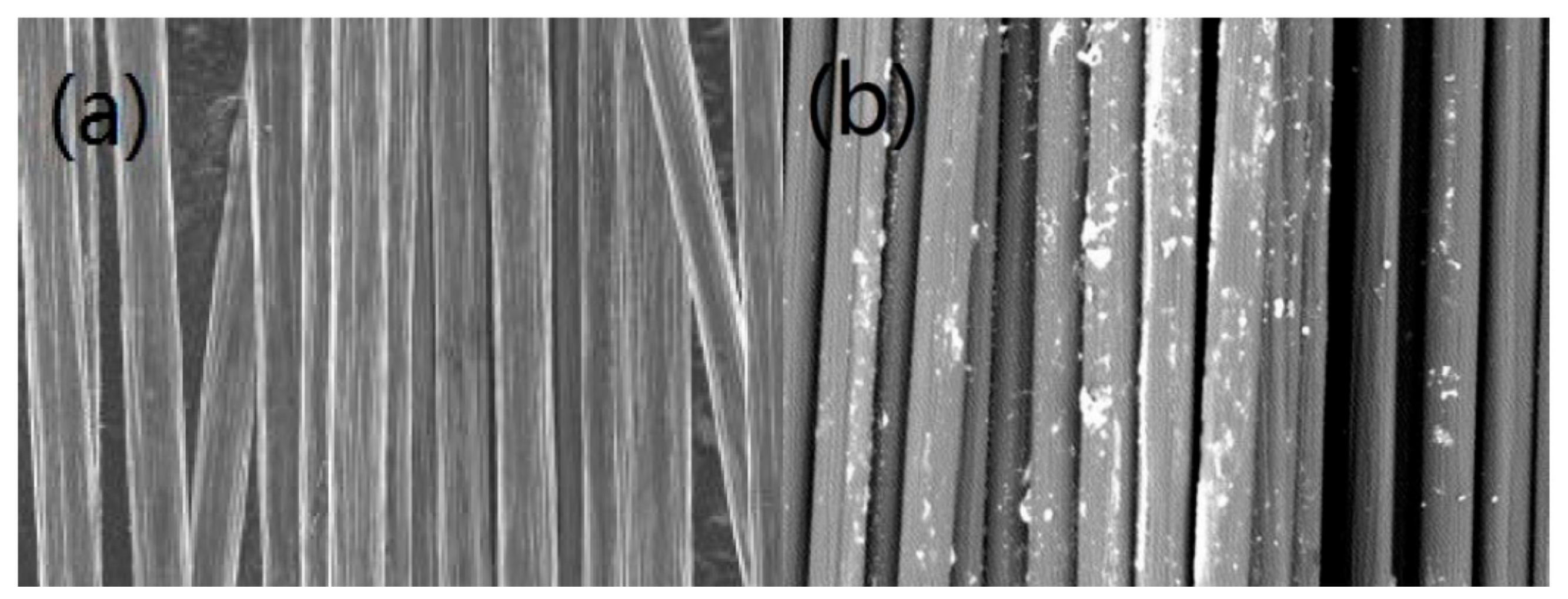 Coatings 08 00344 g002a