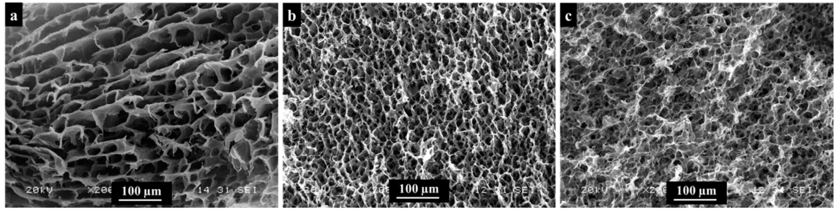 Coatings 08 00345 g003 Coatings 08 00345 g003