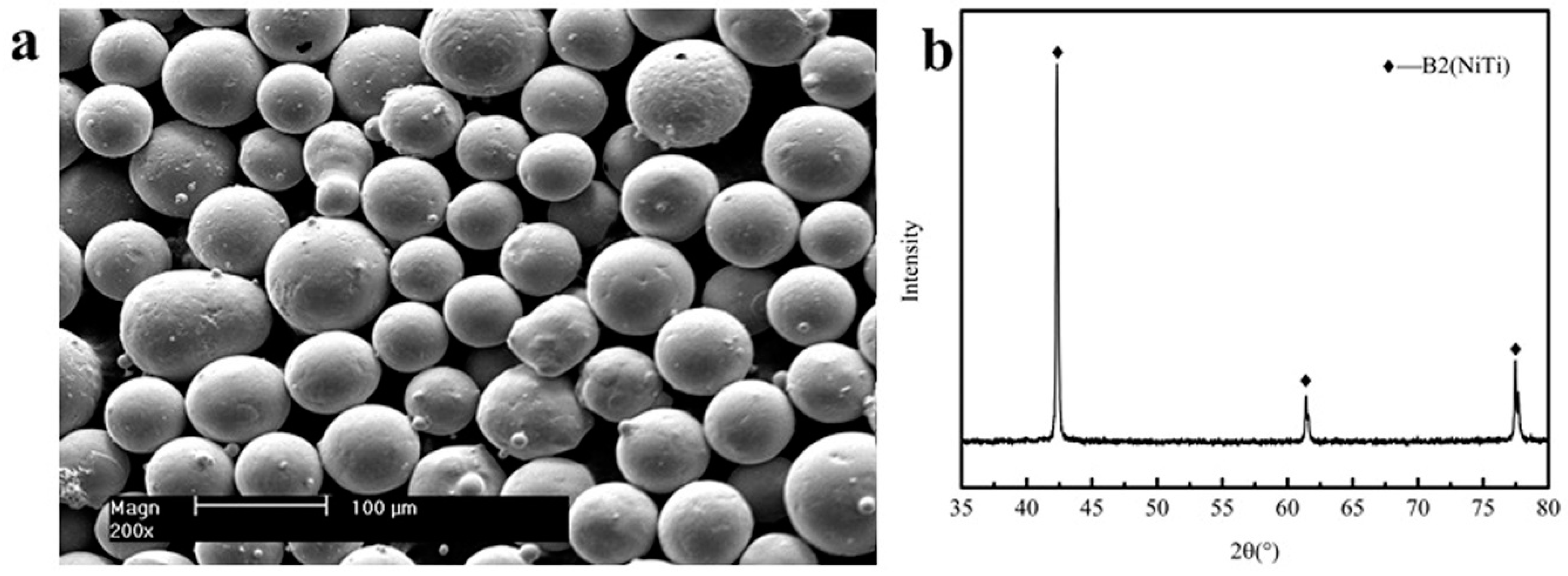 Coatings 08 00346 g001