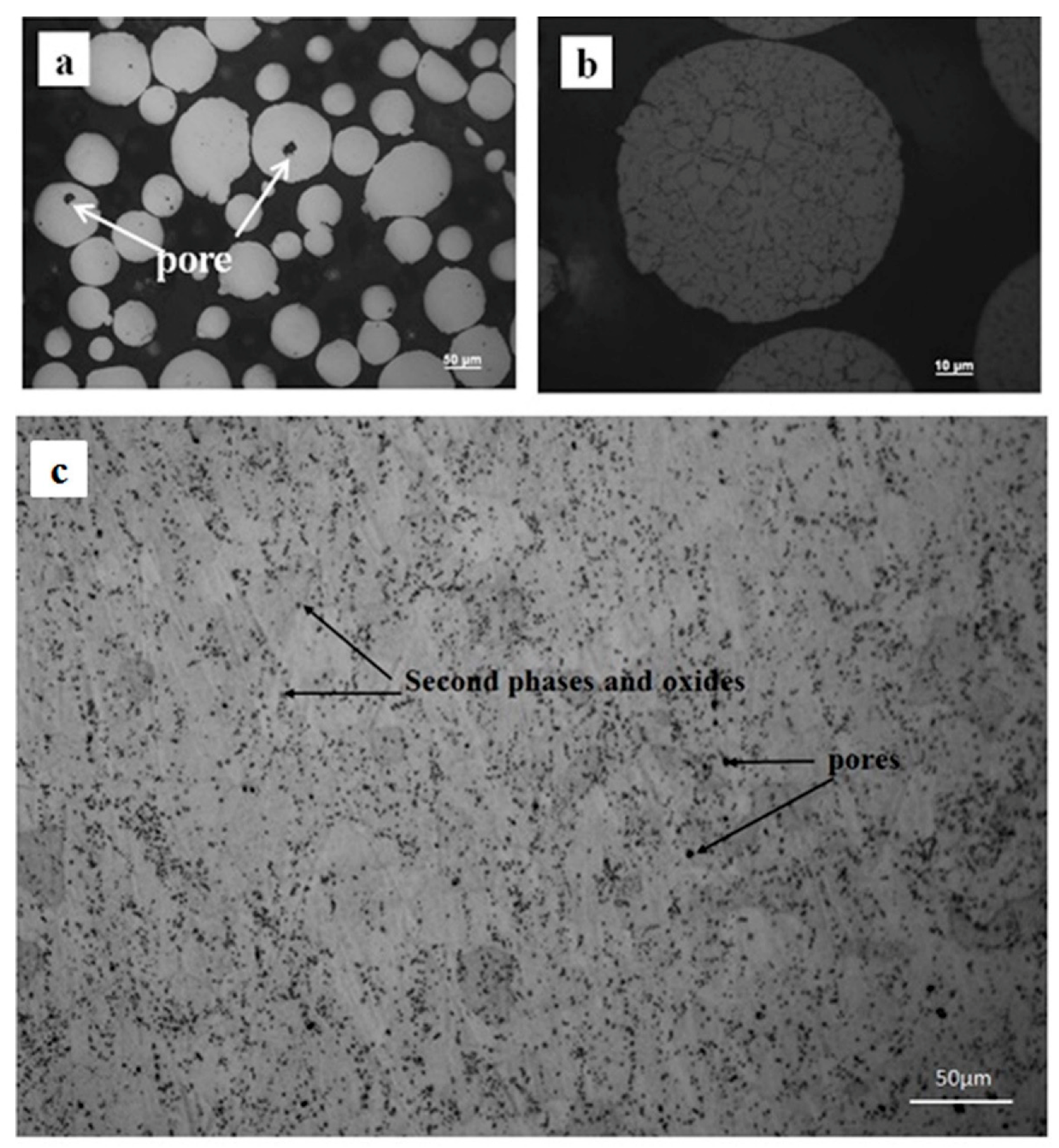 Coatings 08 00346 g004