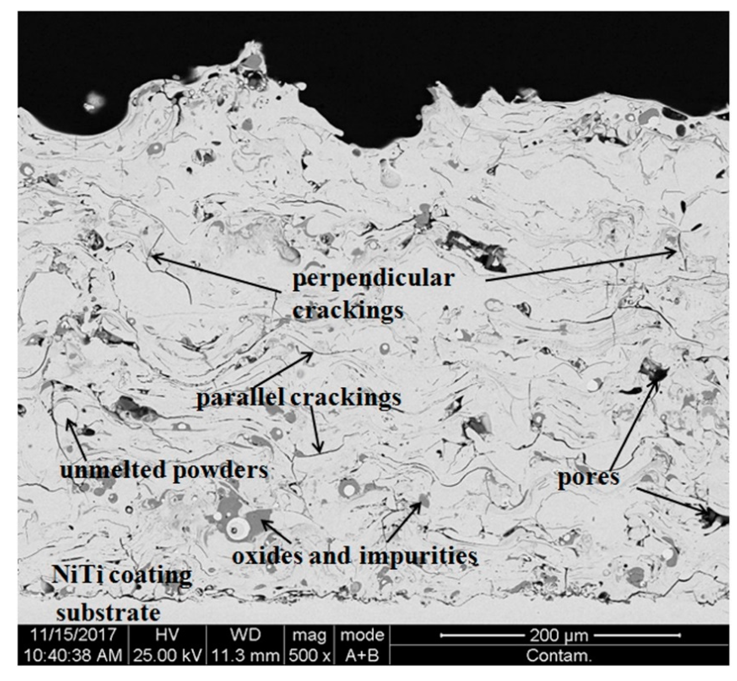 Coatings 08 00346 g005