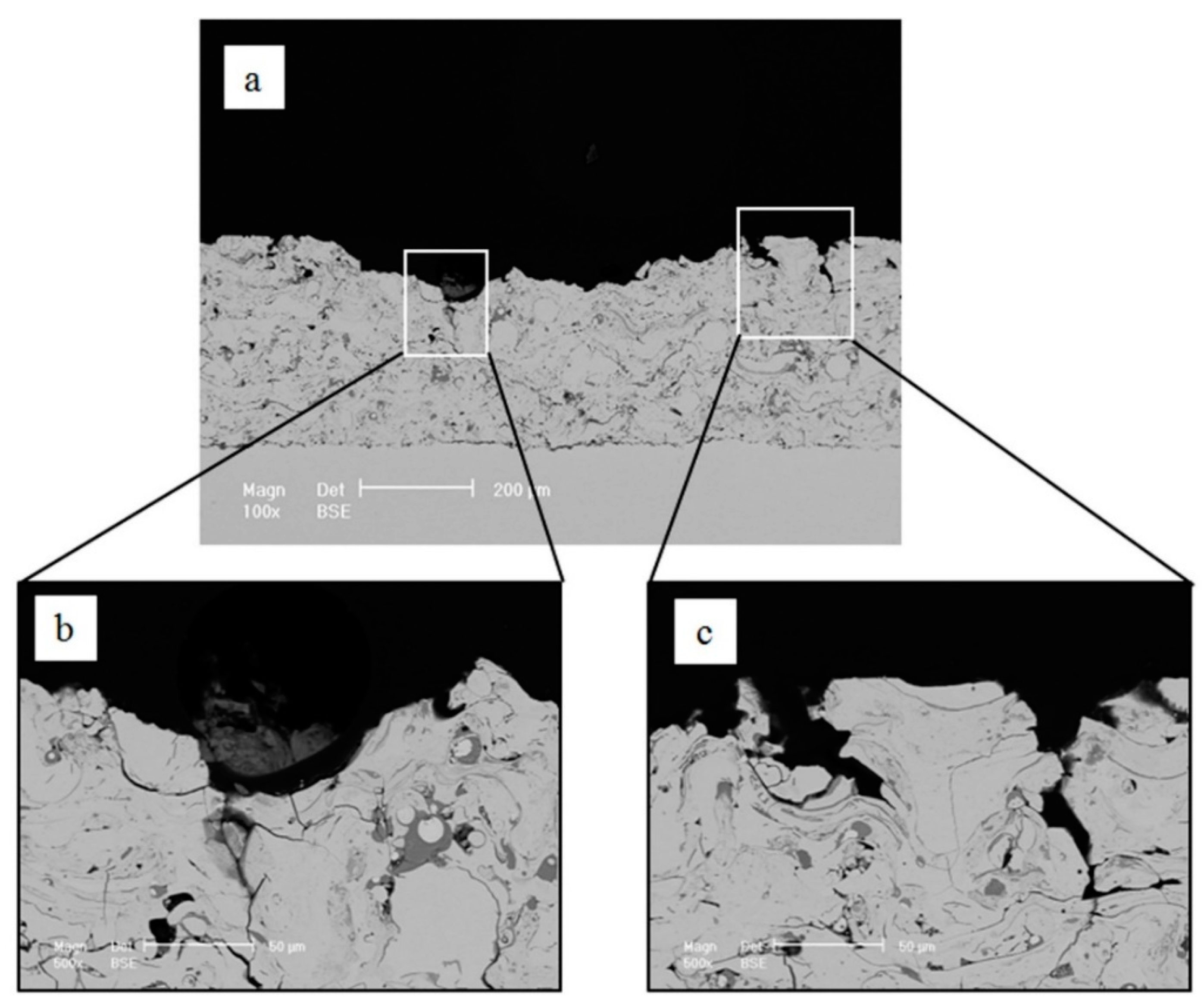 Coatings 08 00346 g011