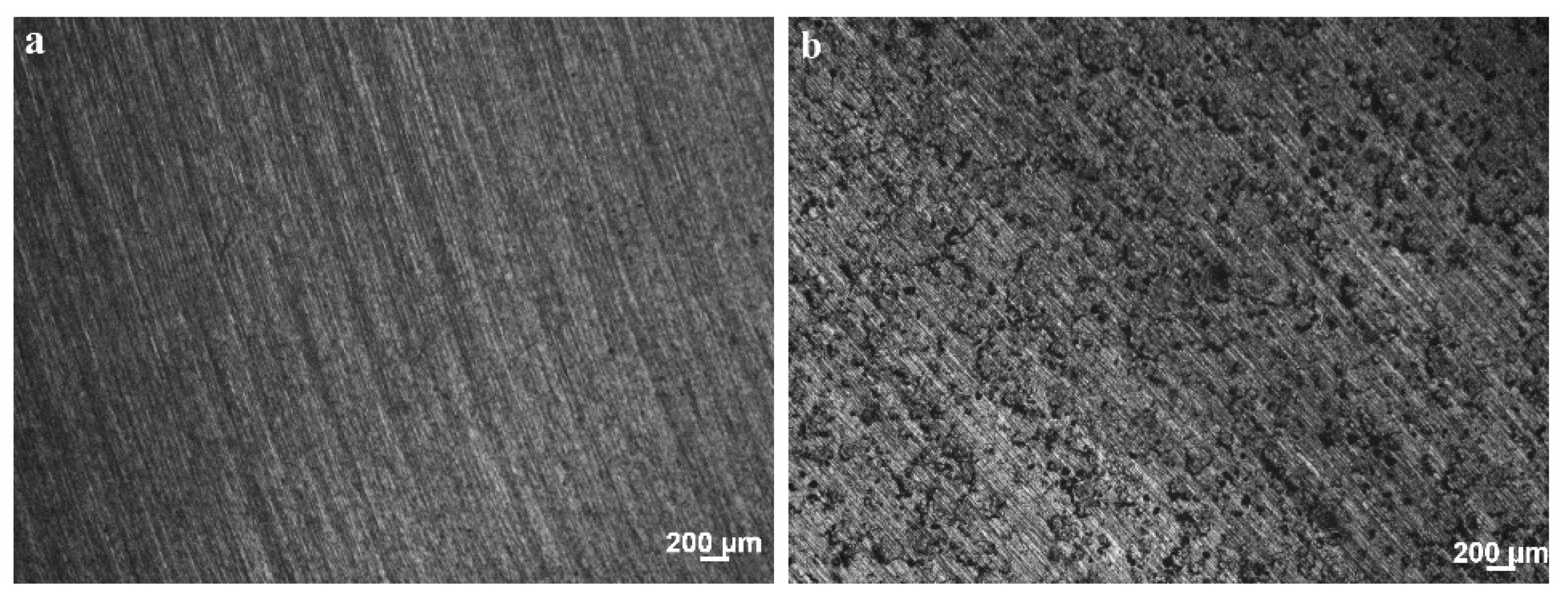 Coatings 08 00346 g014