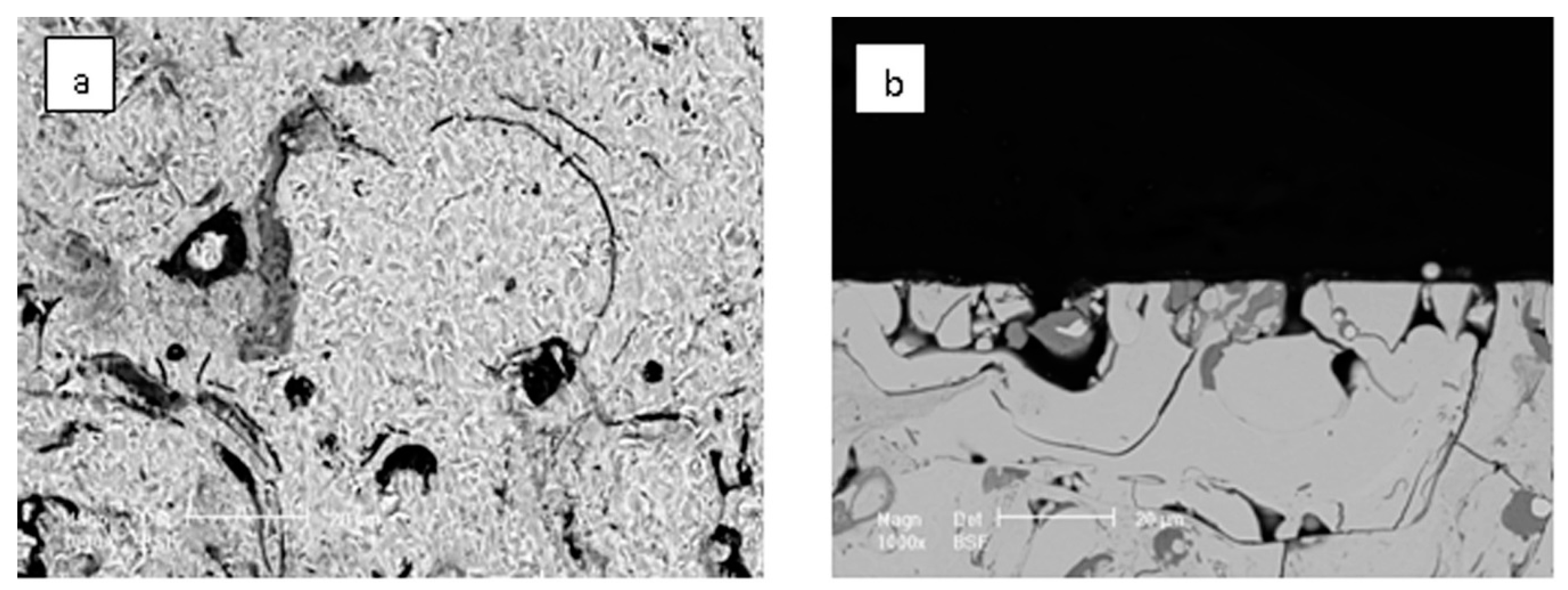 Coatings 08 00346 g016