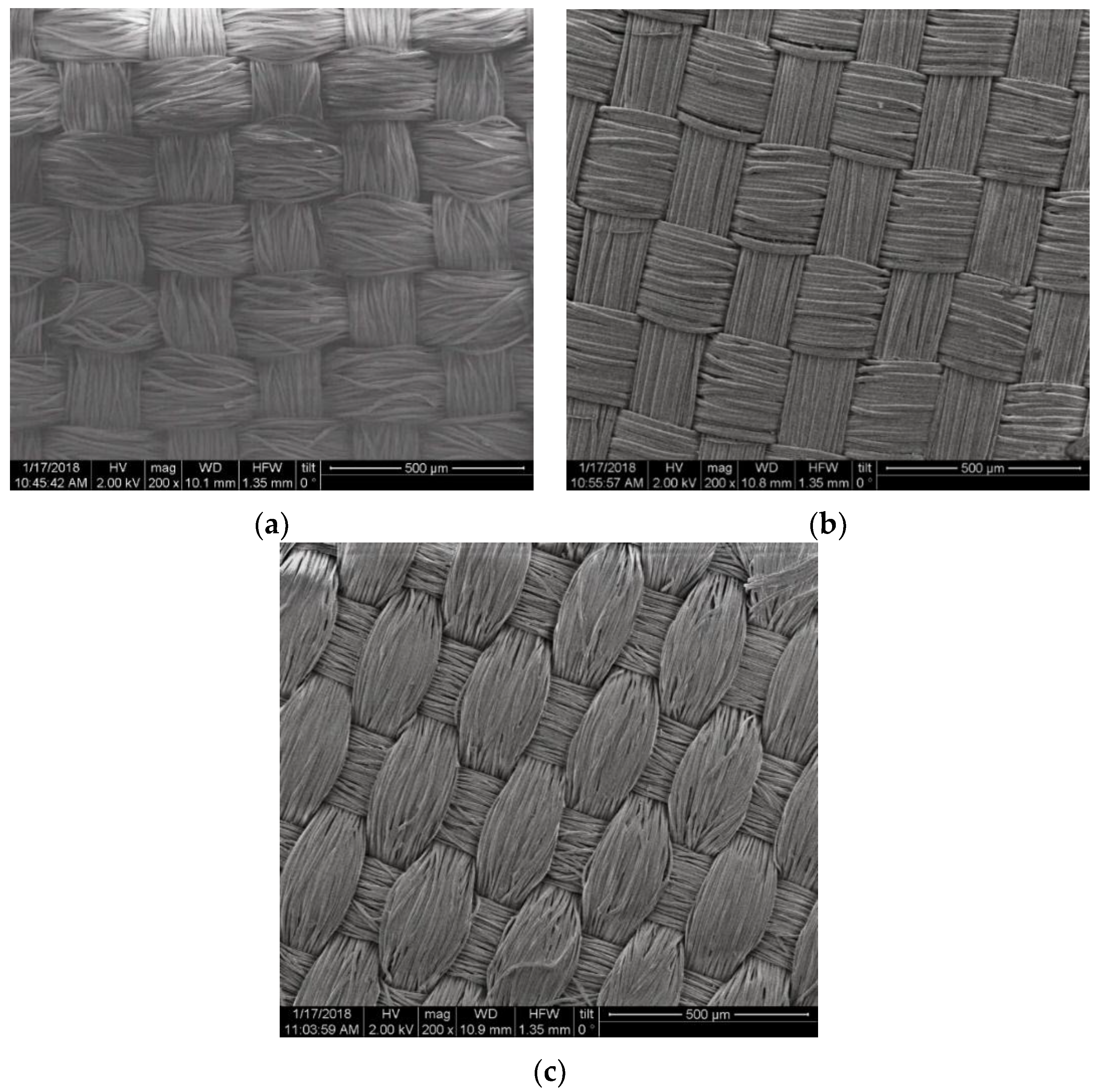 Coatings 08 00351 g001