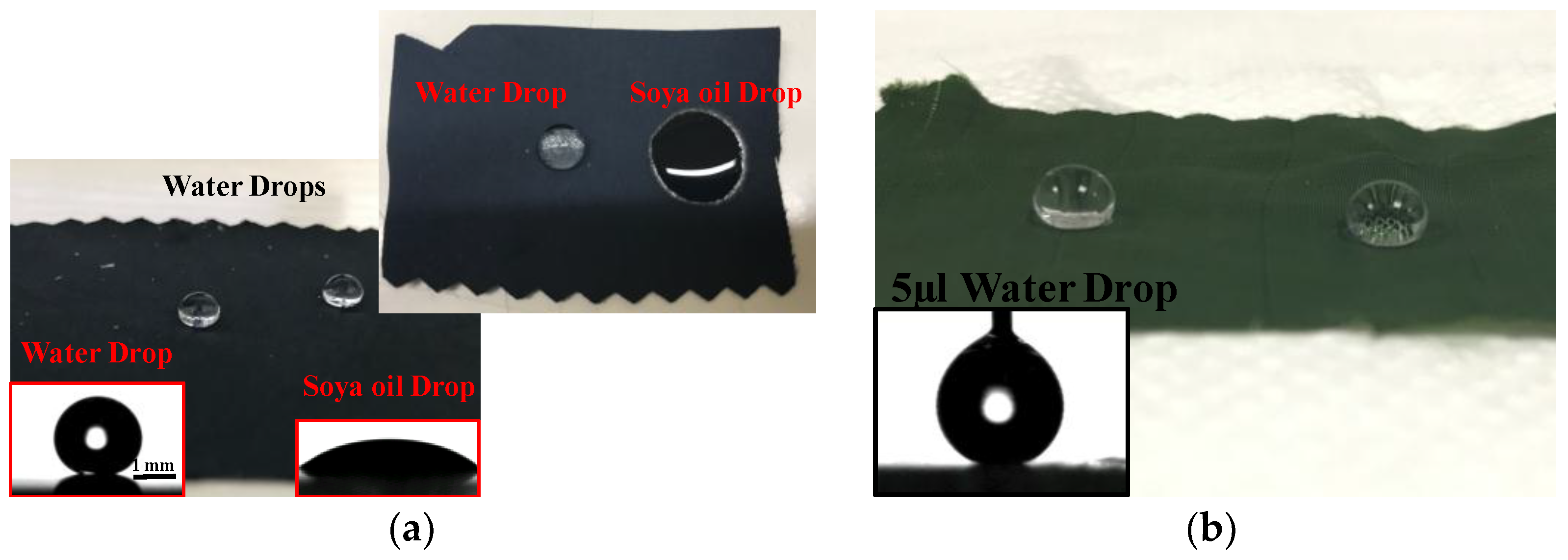 Coatings 08 00351 g003a