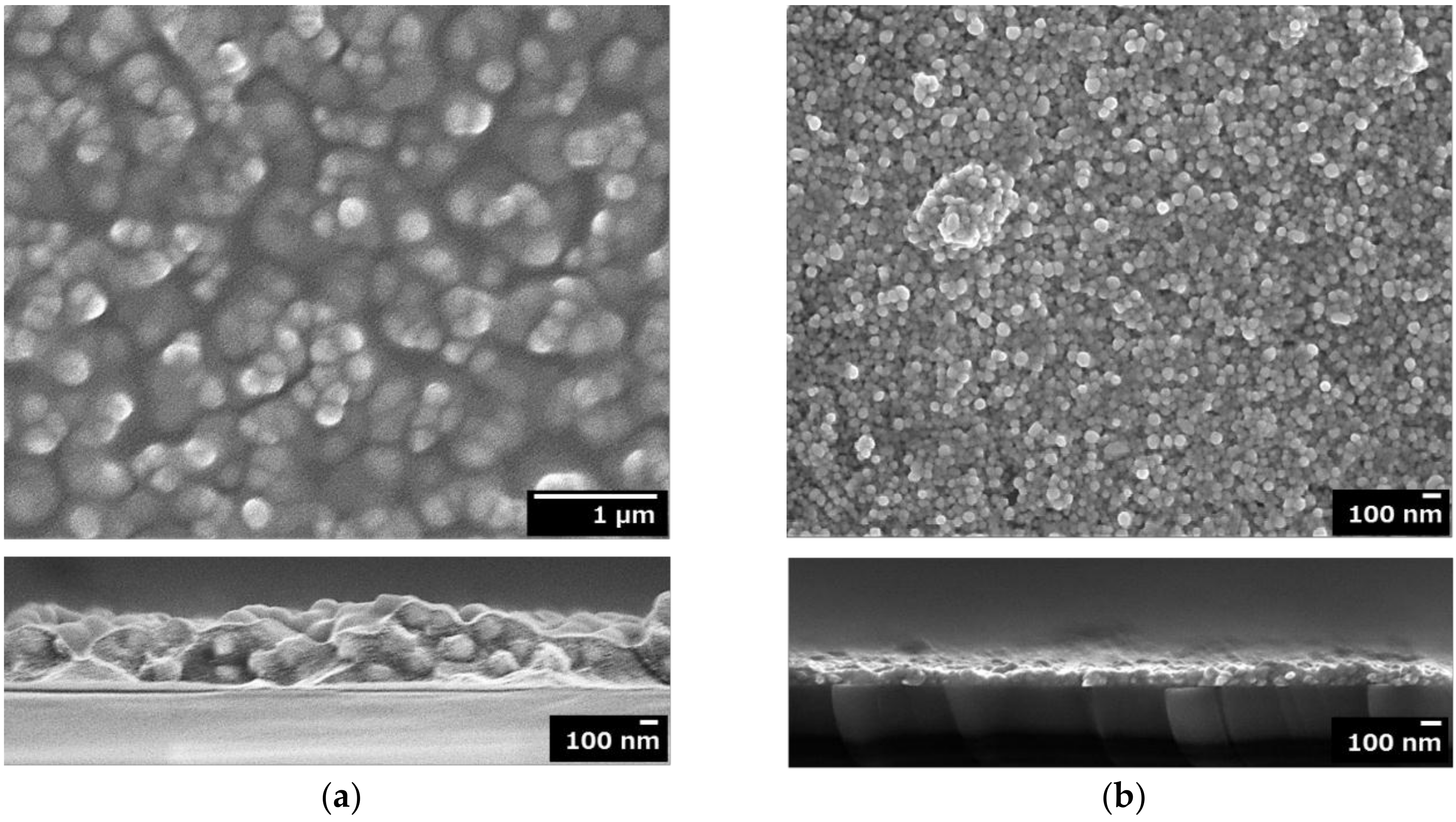 Coatings 08 00352 g003 Coatings 08 00352 g003